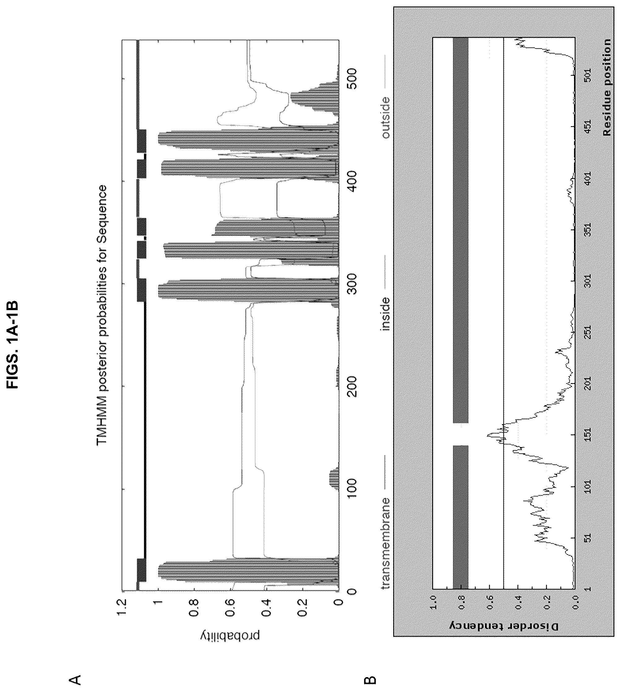 Patent US12129305 — Targeting CLPTM1L for treatment and prevention of cancer — Figure 1