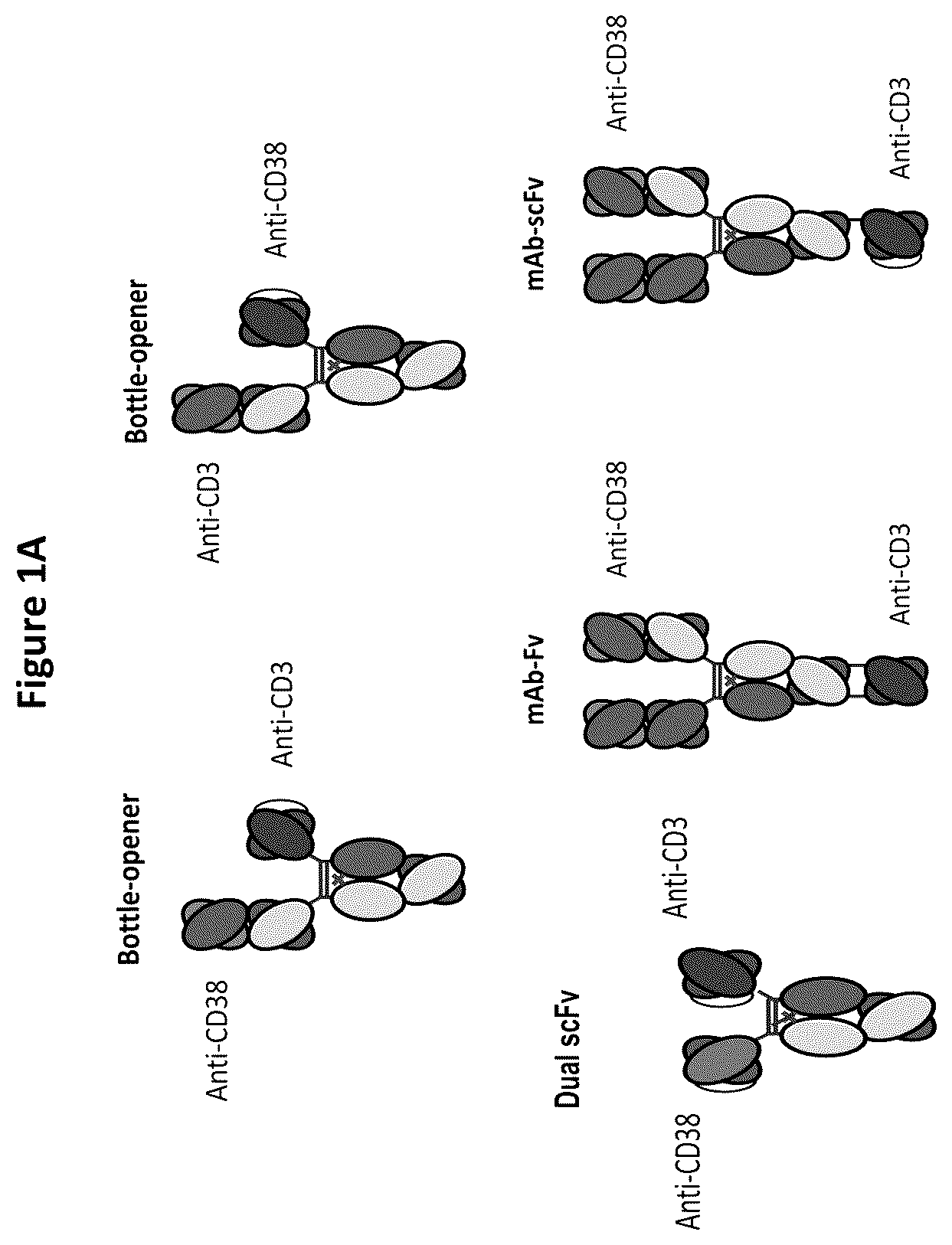 Patent US12129309 — Heterodimeric antibodies that bind CD3 and CD38 — Figure 1