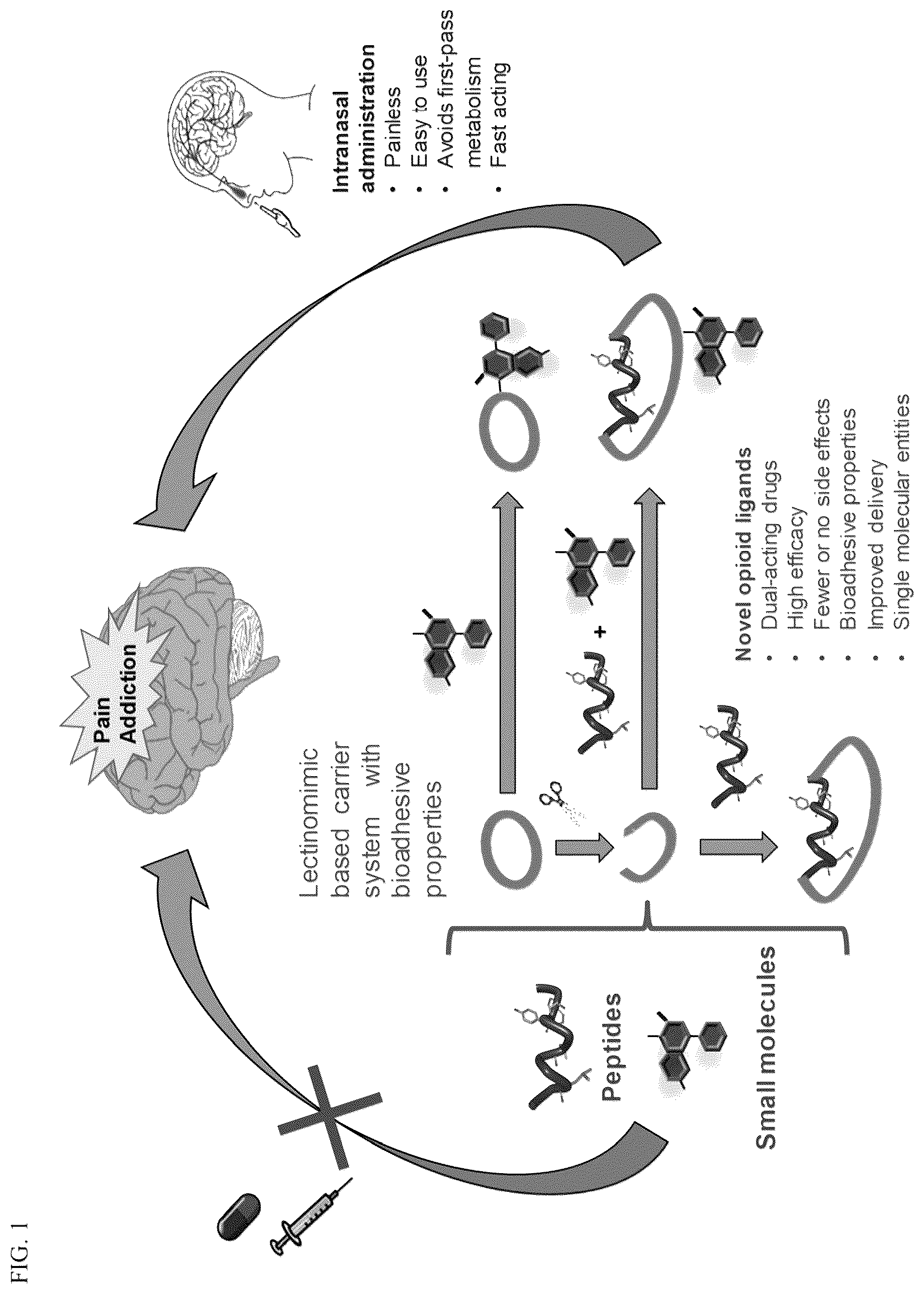 Patent US12129311 — Cyclic peptide combinatorial libraries — Figure 1