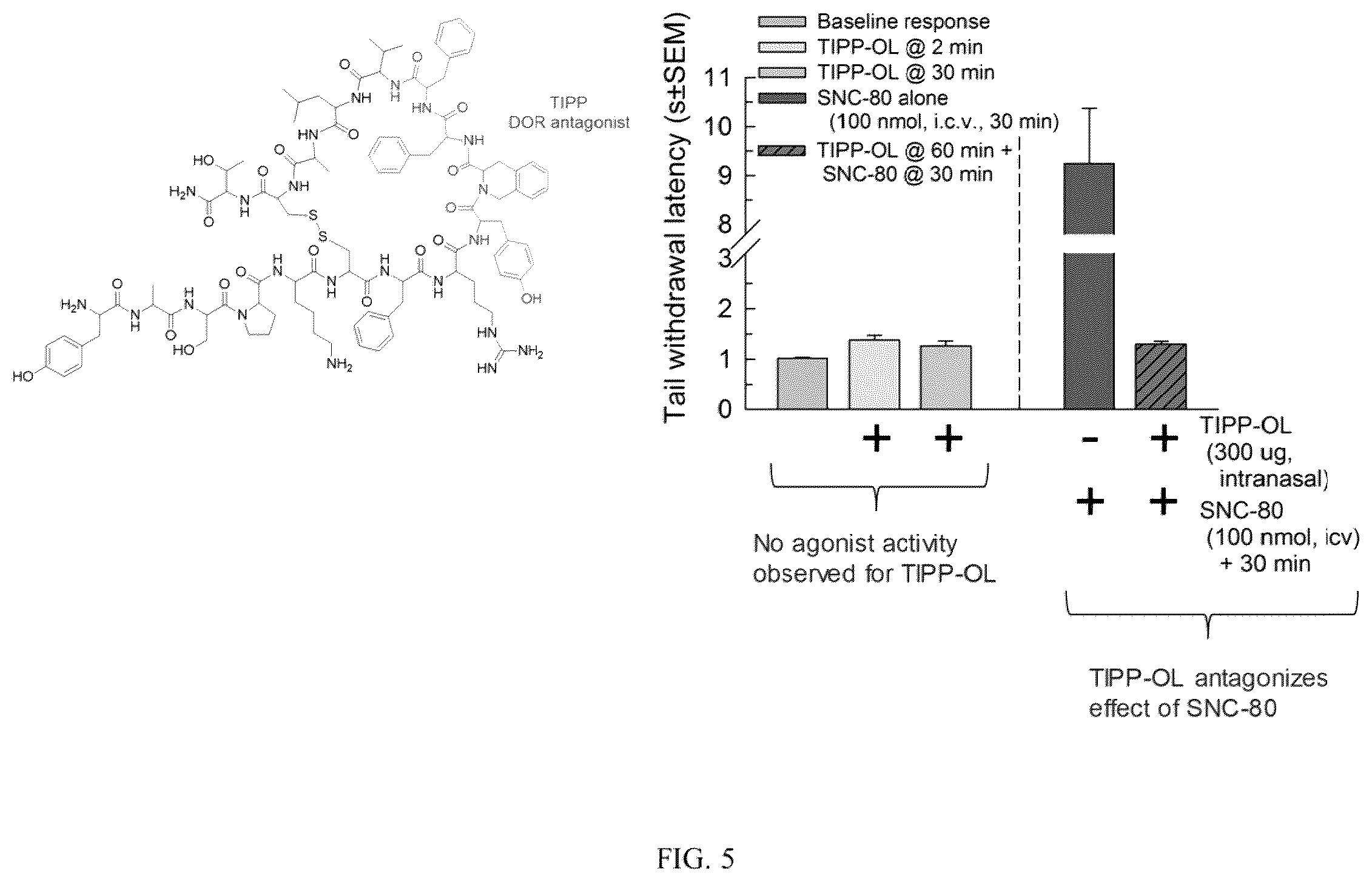 Patent US12129311 Figure 5 – Cyclic peptide combinatorial libraries