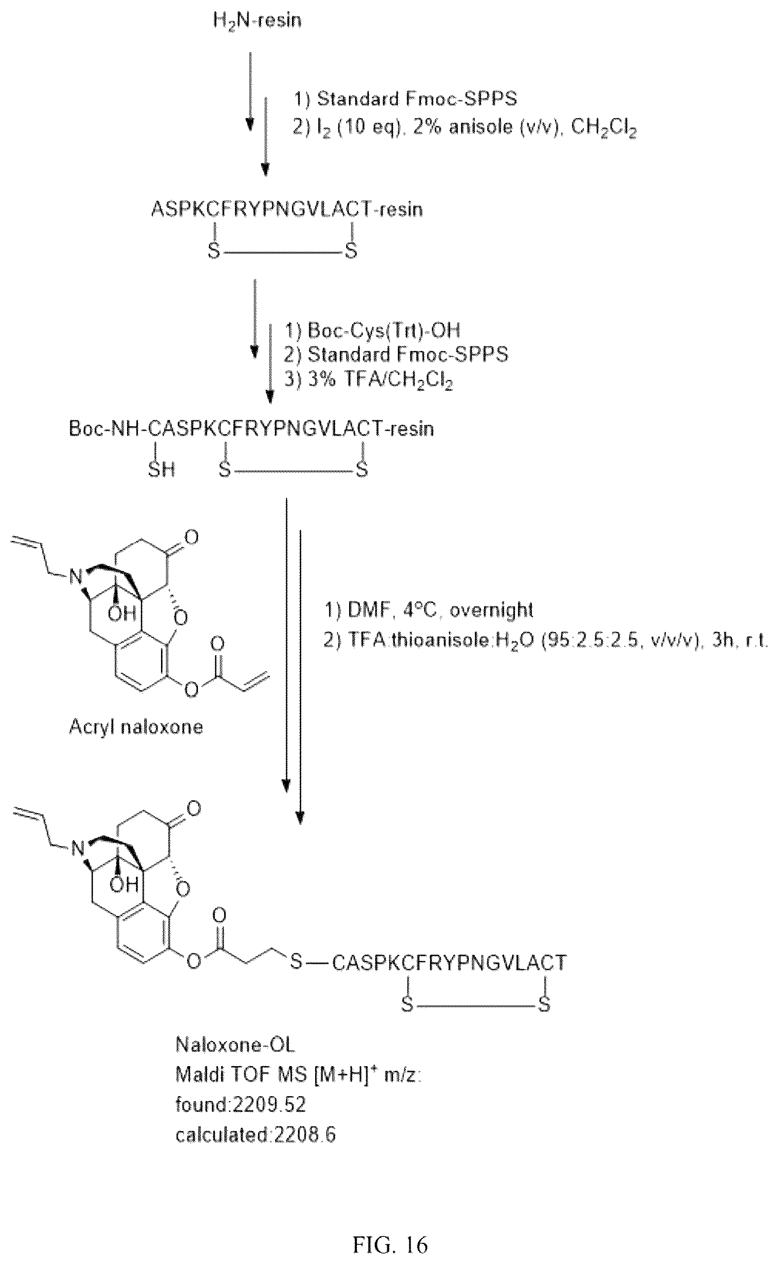 Patent US12129311 Figure 20 – Cyclic peptide combinatorial libraries