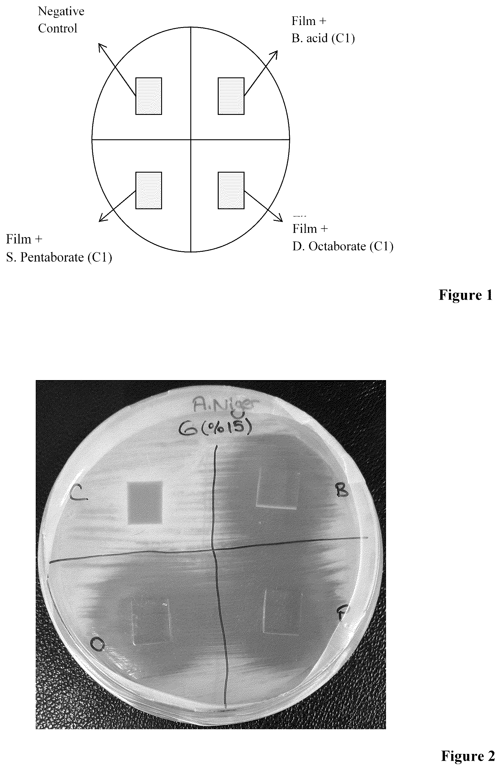 Patent US12129384 — Pectin based antimicrobial surface coating material — Figure 1