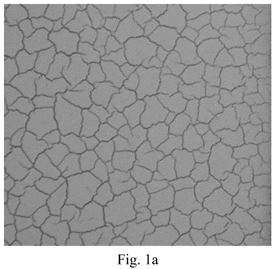Patent US12129401 — Cracks-controllable coating and preparation method thereof — Figure 1
