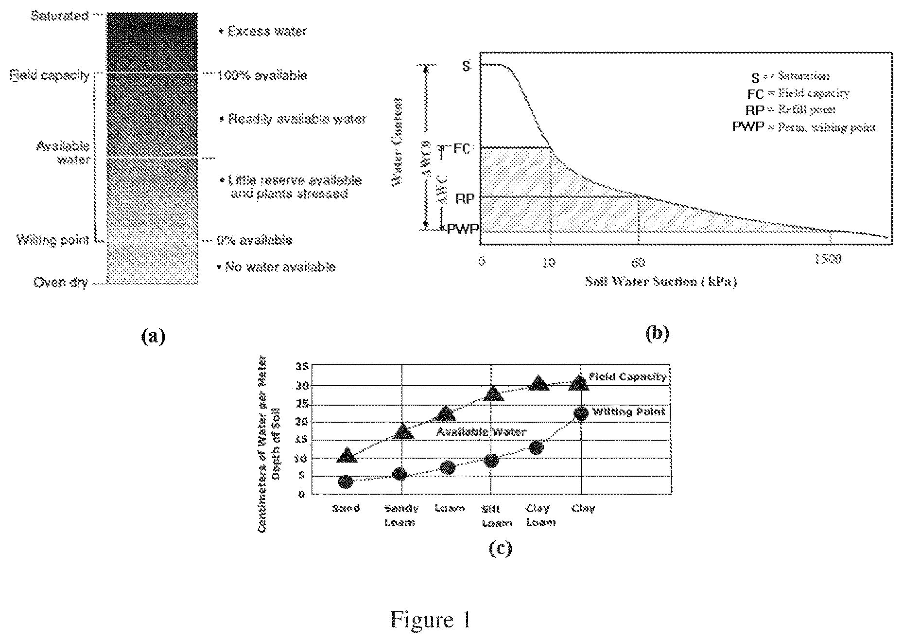 Patent US12129419 Figure 1 – Polymeric composition for use as soil conditioner with improved water absorbency during watering of the agricultural crops