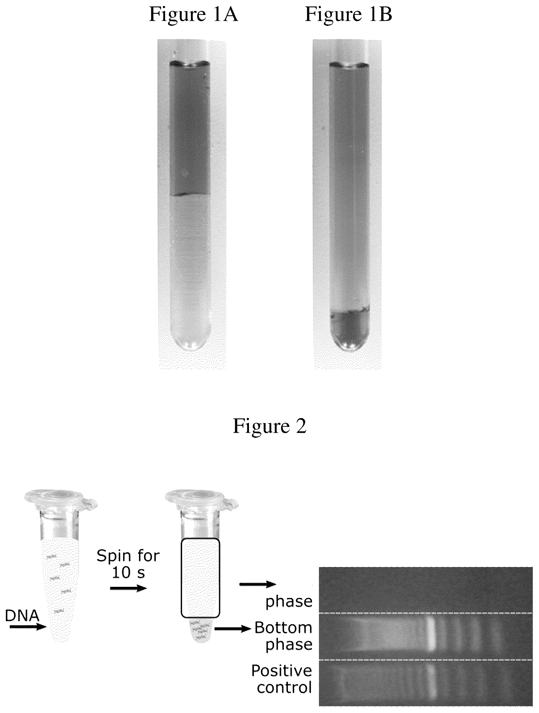 Patent US12129459 Figure 1 – Method for using aqueous two-phase system for the isolation, purification and/or concentration of short nucleic acid fragments