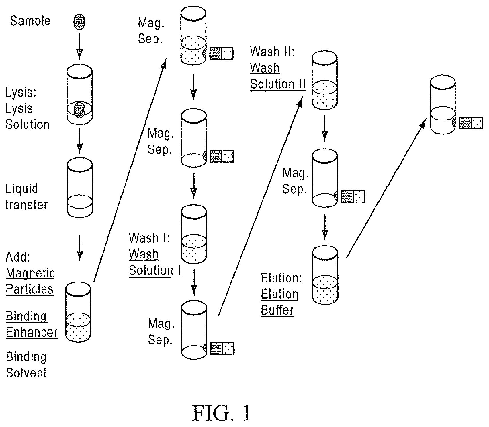 Patent US12129461 — Methods and kits for extraction of DNA — Figure 1