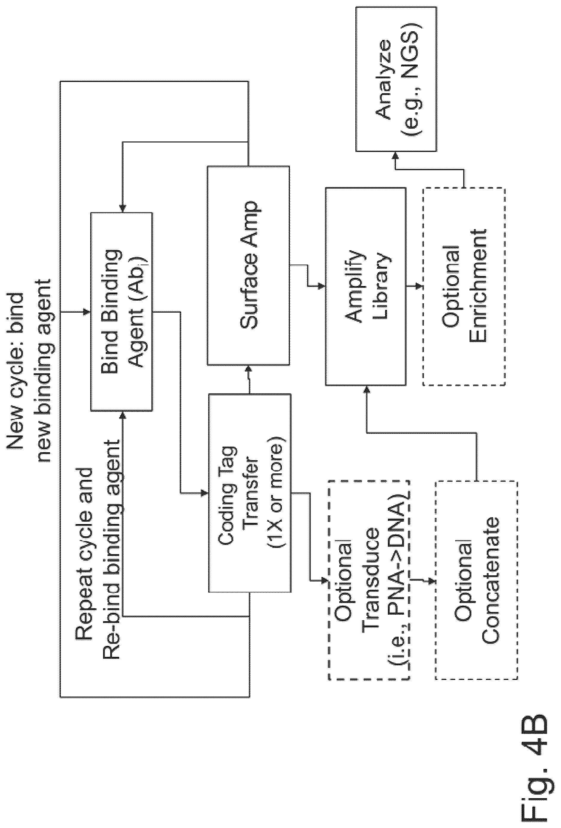 Patent US12129463 Figure 9 – Methods and kits using nucleic acid encoding and/or label