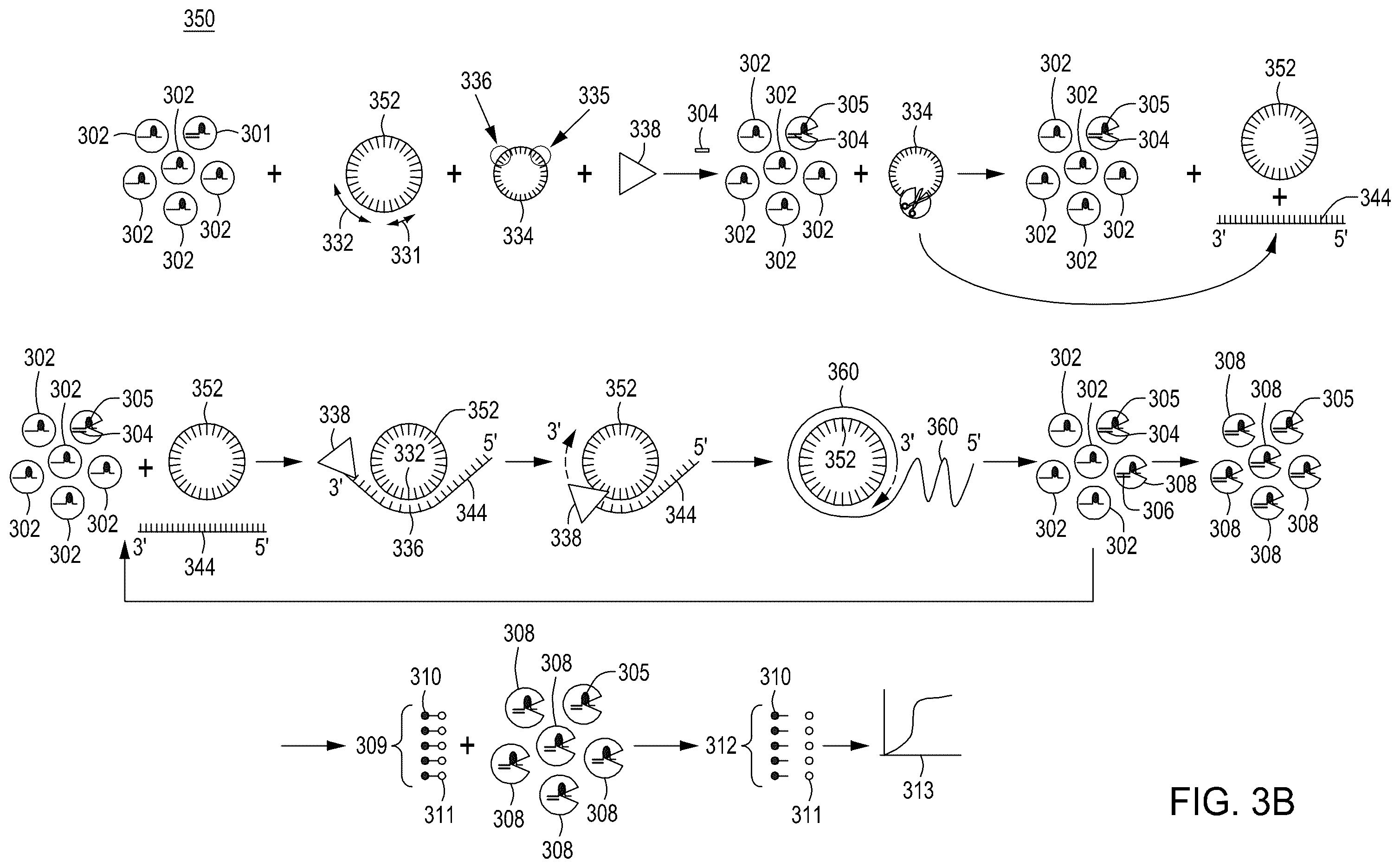Patent US12129468 Figure 12 – Signal boost cascade assay