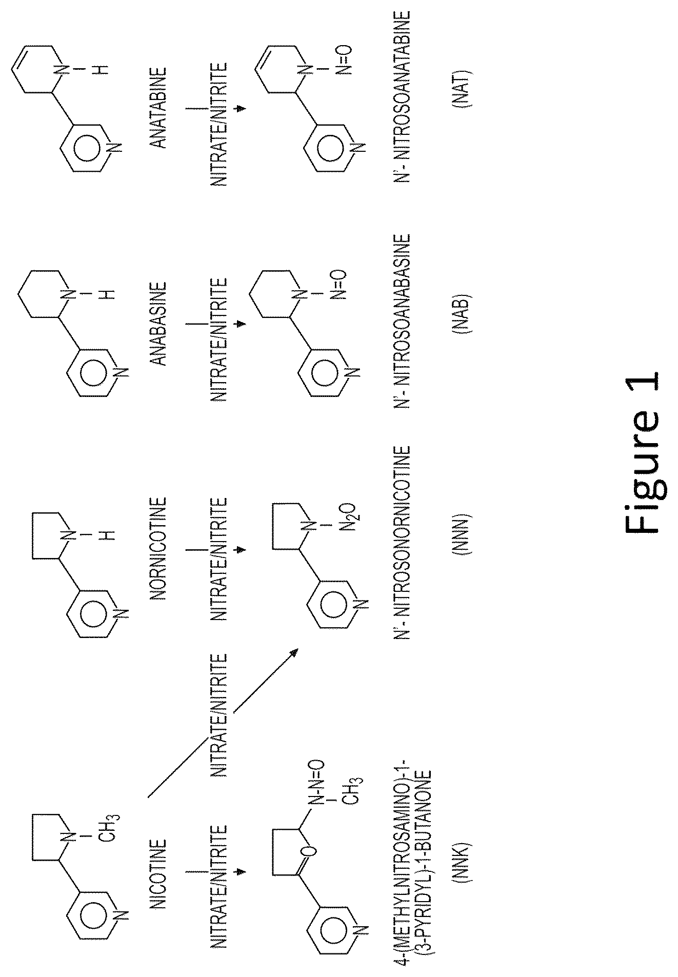 Patent US12129474 — Composition and methods for producing tobacco plants and products having reduced tobacco-specific nitrosamines (TSNAs) — Figure 1