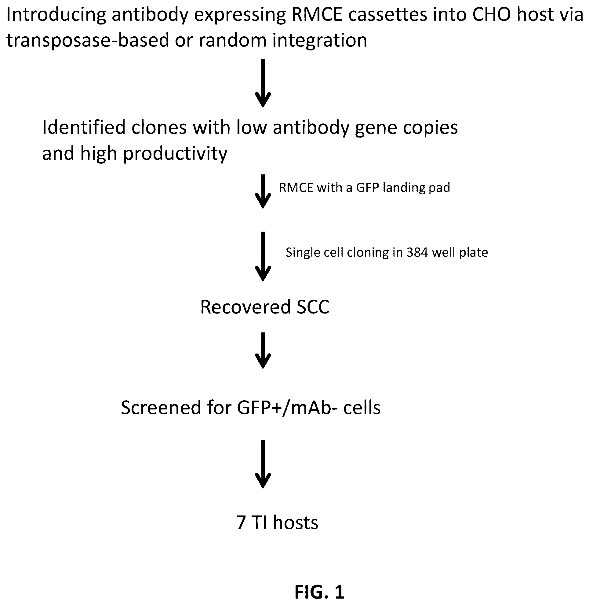 Patent US12129480 — Targeted integration of nucleic acids — Figure 1