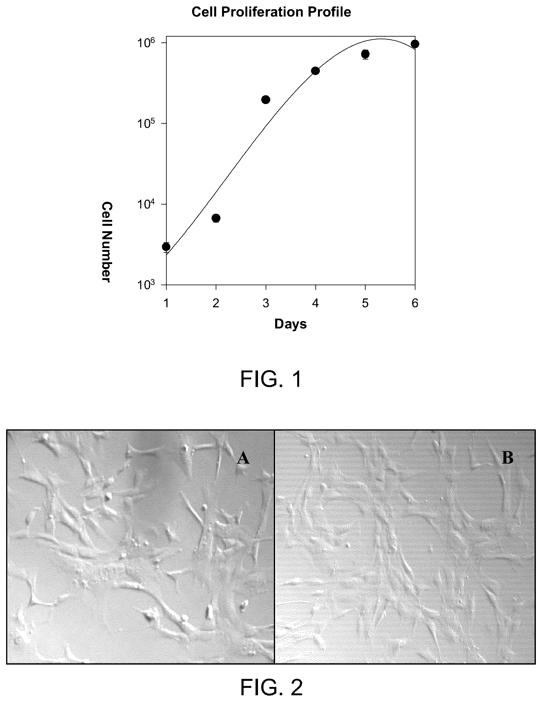 Patent US12129481 Figure 1 – Use of cells derived from first trimester umbilical cord tissue