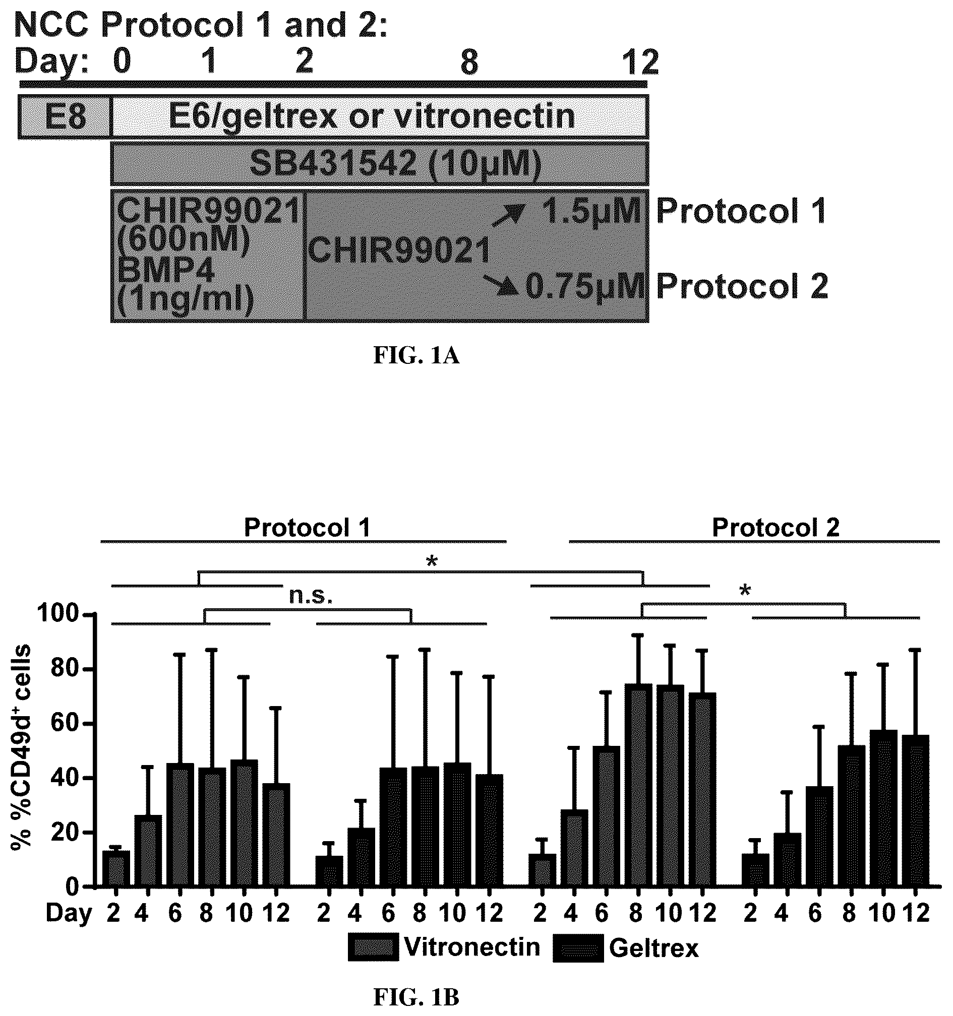 Patent US12129483 — Compositions and methods for making sensory neurons — Figure 1