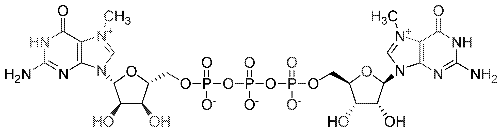 Patent US12129494 — T7 RNA polymerase variants — Figure 1