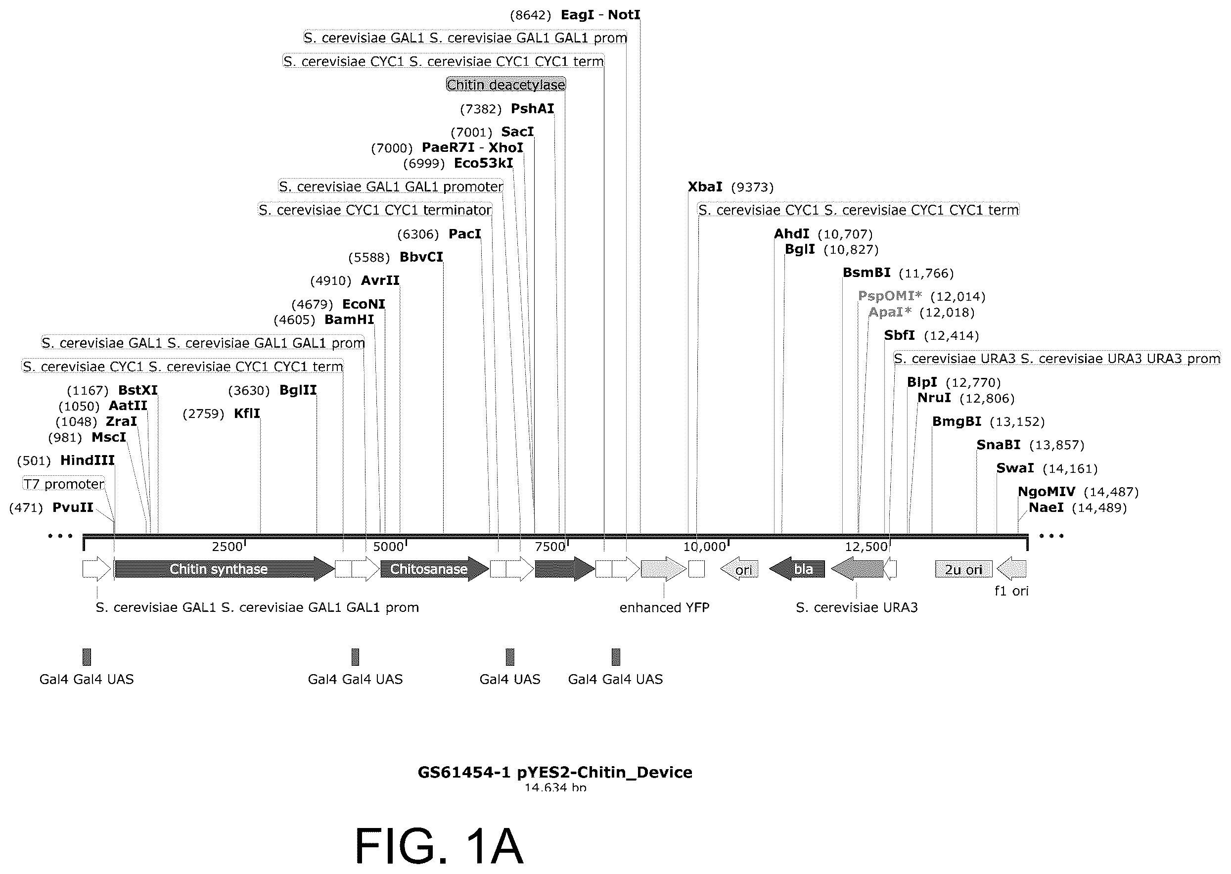 Patent US12129500 — Methods for producing a polyactive carbohydrate and applications thereof — Figure 1
