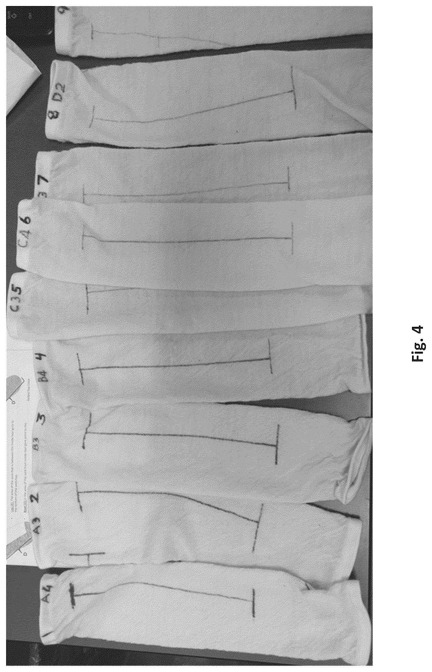 Patent US12129596 Figure 4 – Silk coated fabrics and products and methods of preparing the same