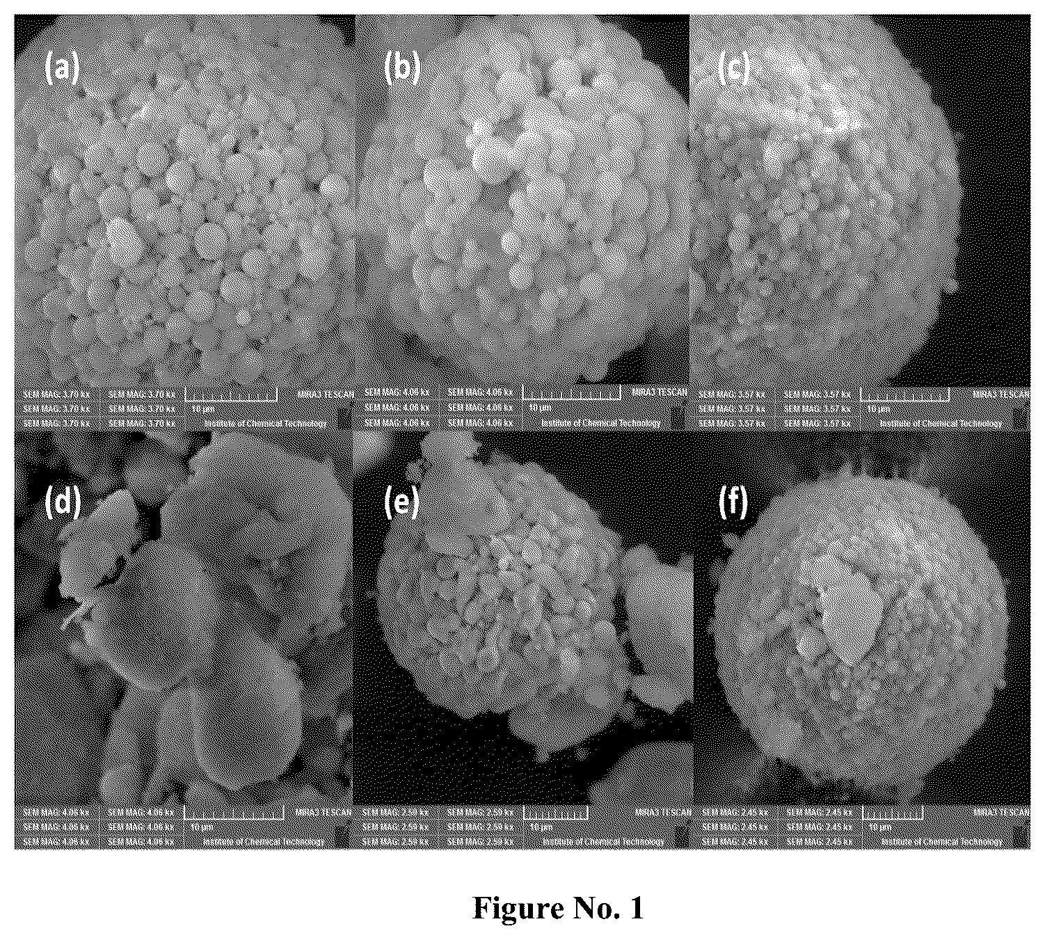 Patent US12134085 — Steam reforming catalysts for sustainable hydrogen production from biobased materials — Figure 1