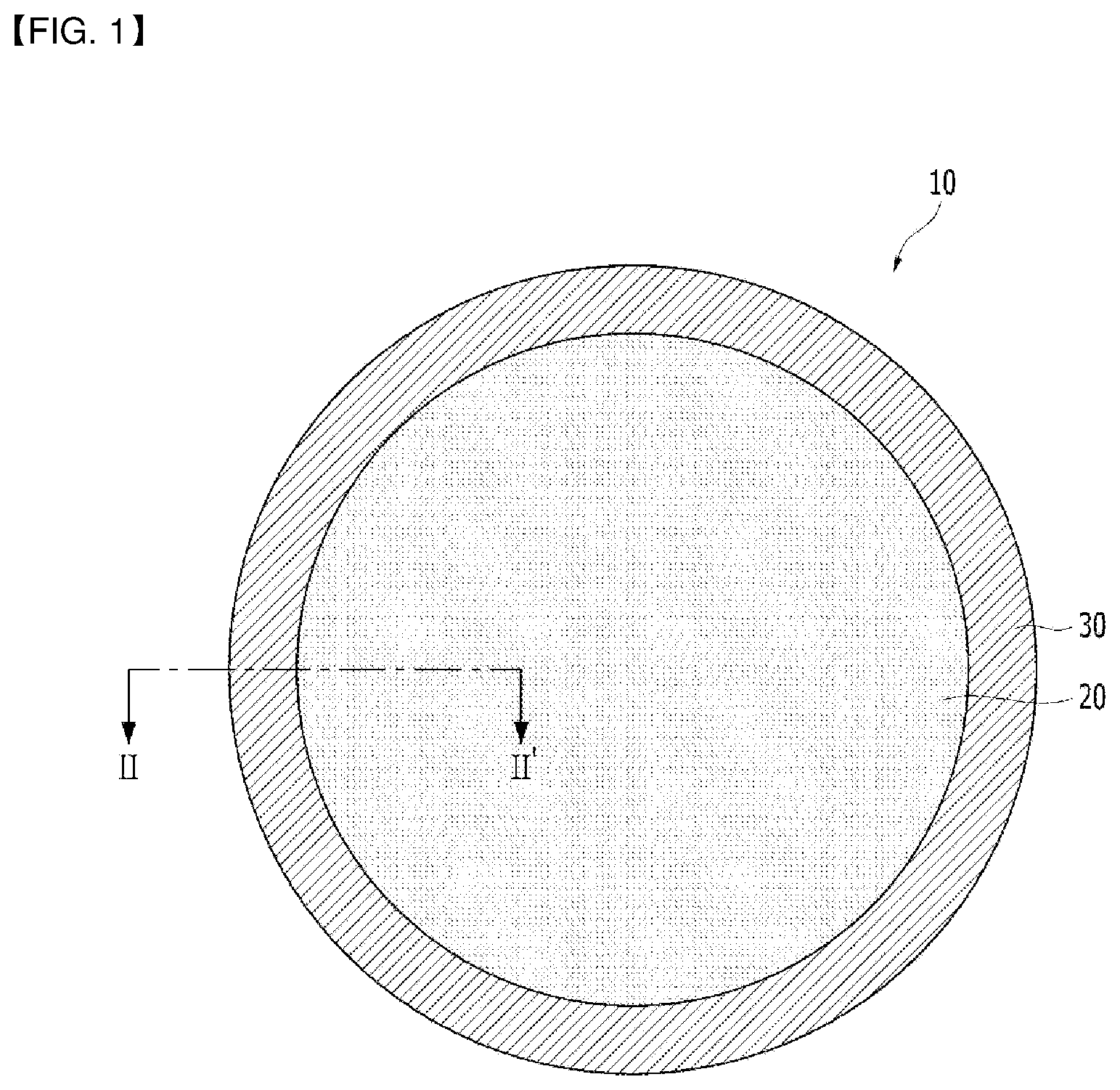 Patent US12134162 — Wafer polishing head, method for manufacturing wafer polishing head, and wafer polishing apparatus comprising same — Figure 1