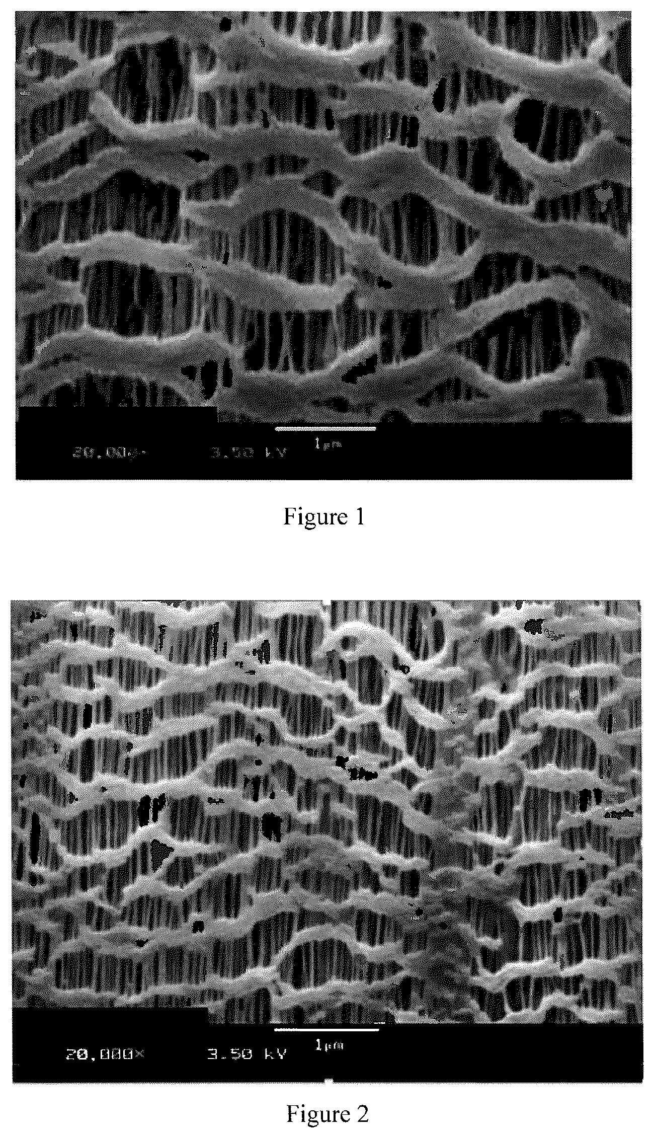 Patent US12134259 Figure 1 – Laminated multilayer membranes, separators, batteries, and methods
