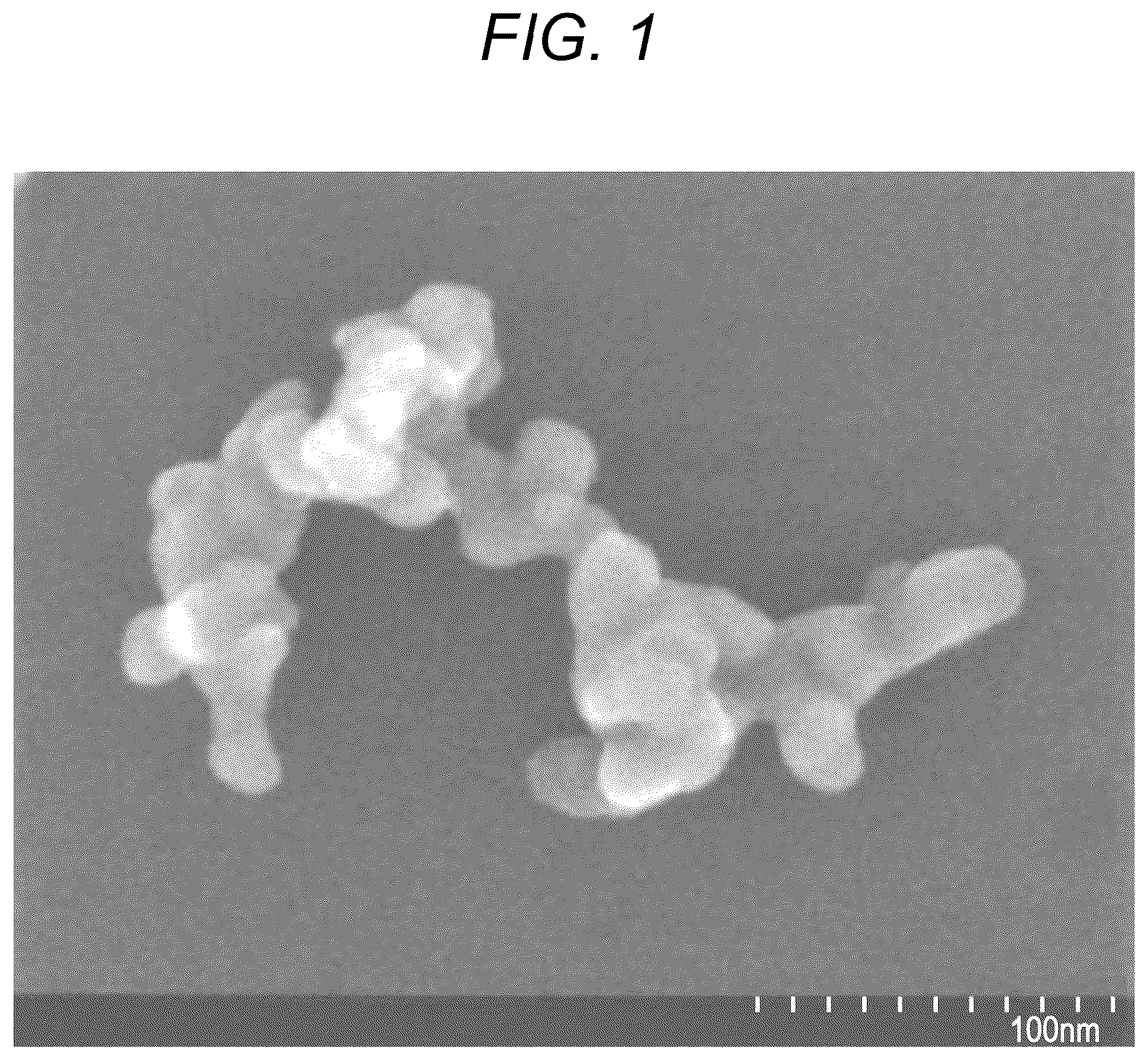 Patent US12134563 — Porous silica particles and method for producing same — Figure 1