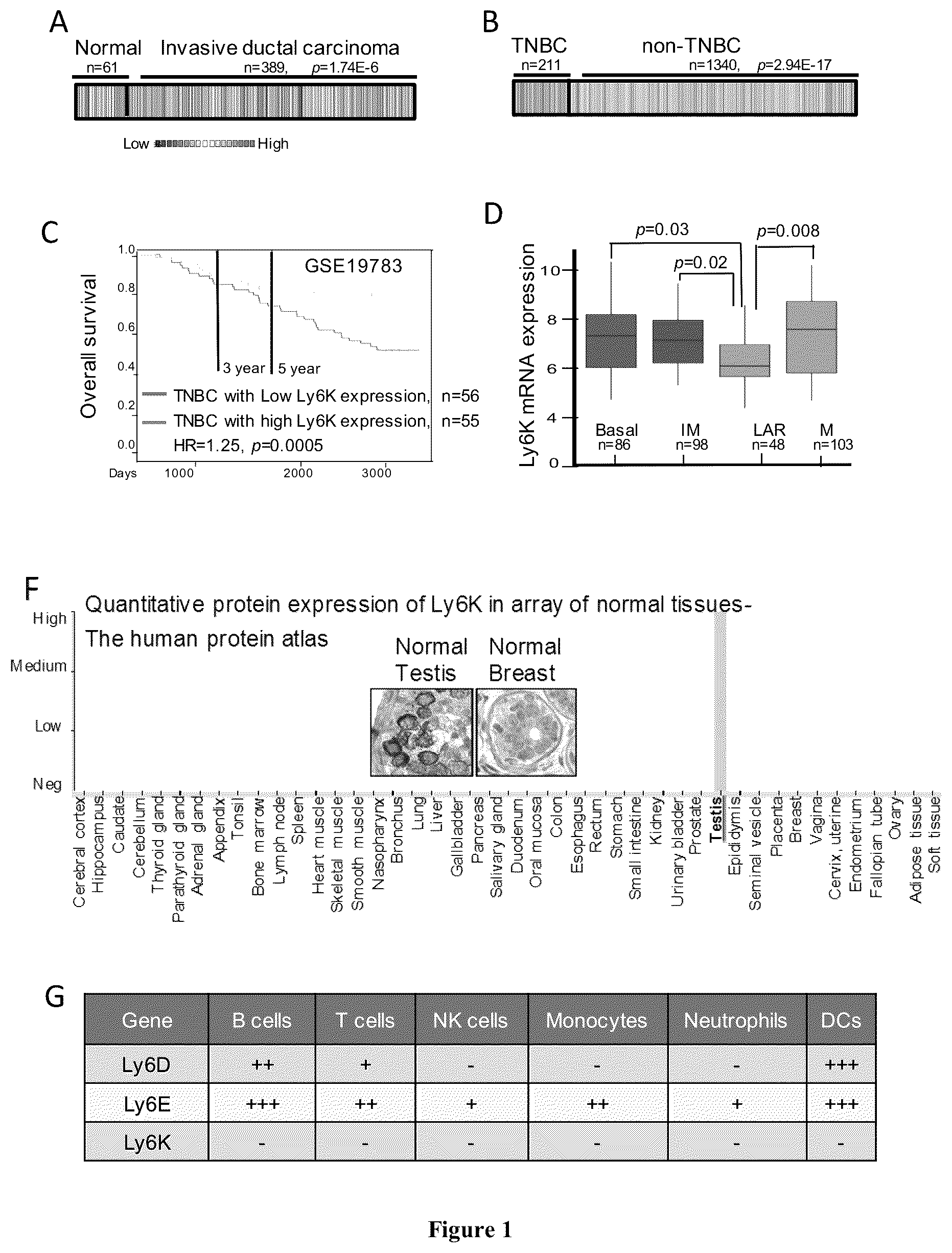 Patent US12134601 — Compounds for inhibiting LY6K and methods of using same — Figure 1
