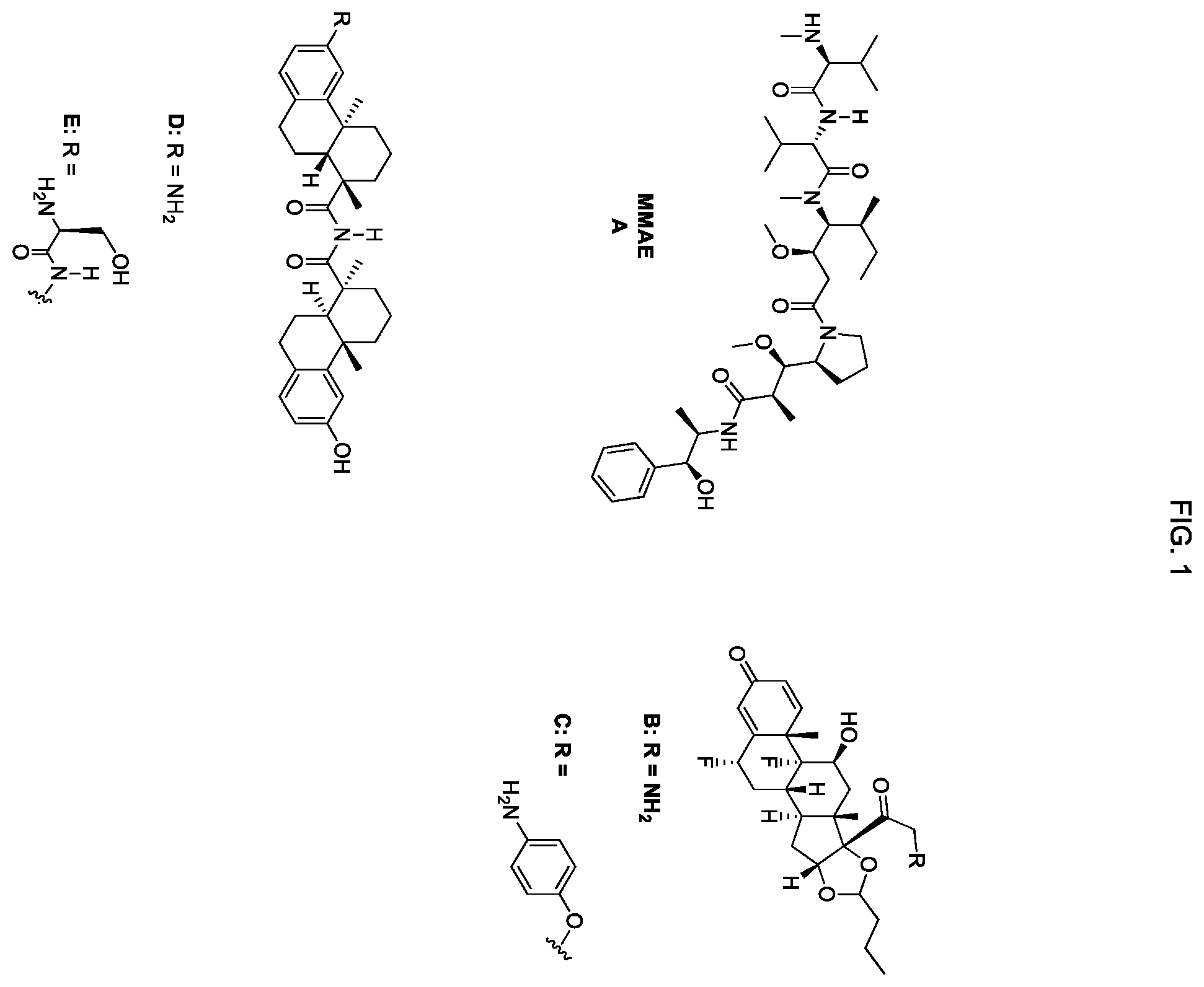 Patent US12134631 — Hydrophilic linkers for antibody drug conjugates — Figure 1