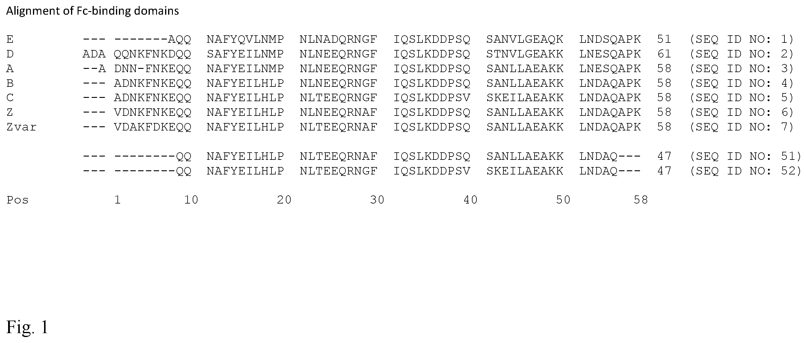 Patent US12134633 — Separation matrix — Figure 1