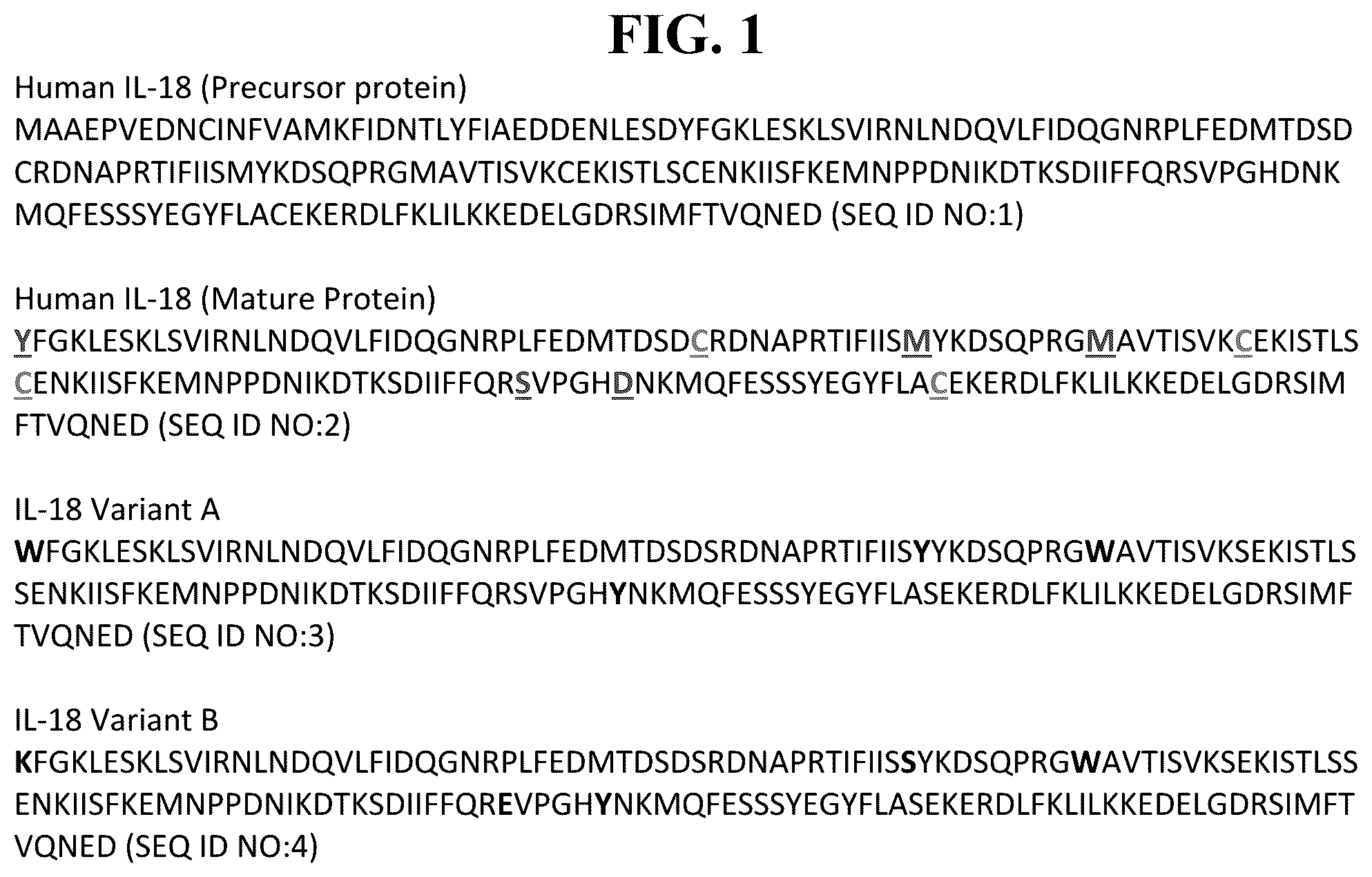 Patent US12134635 — Interleukin 18 (IL-18) variants and fusion proteins comprising same — Figure 1