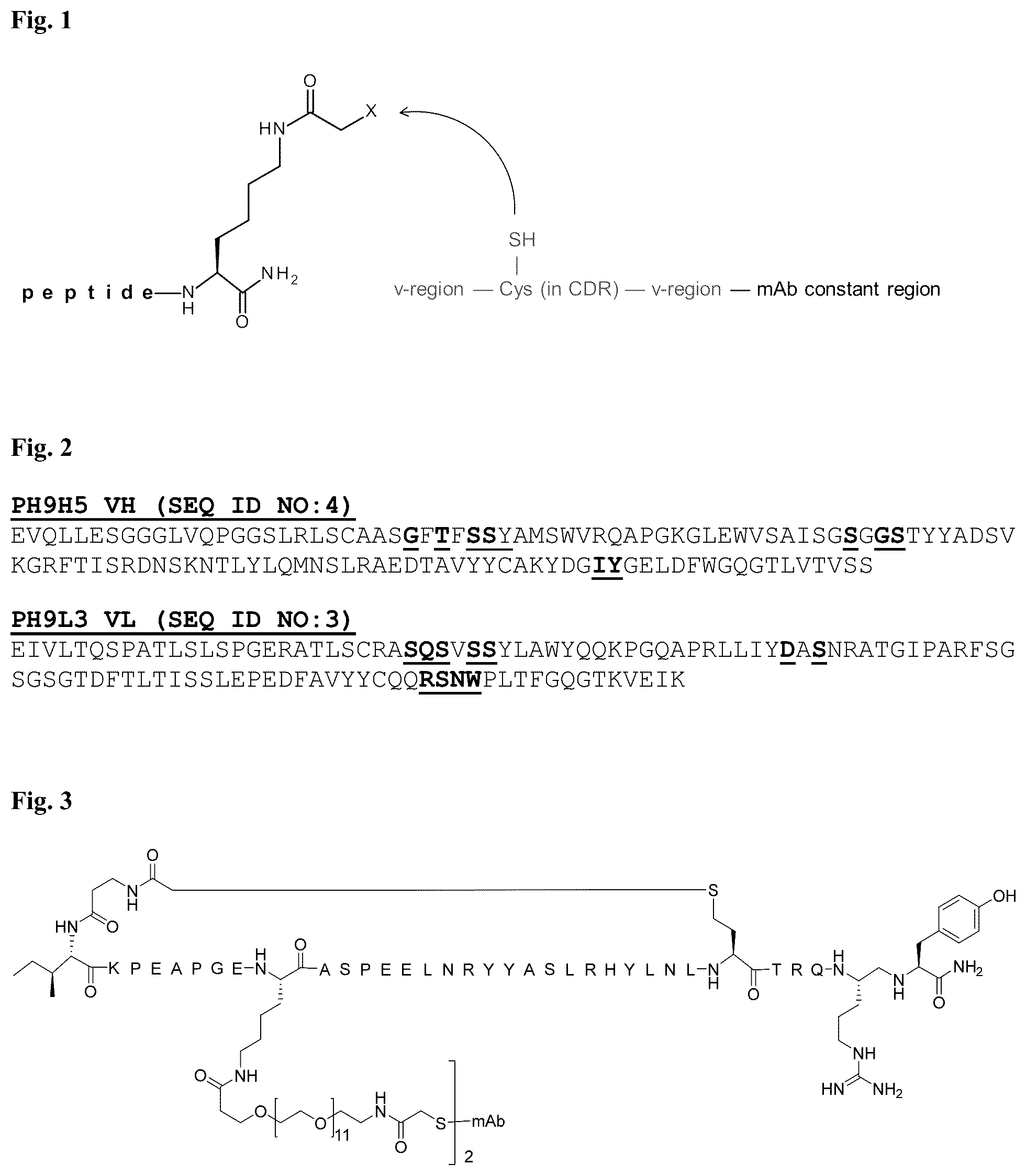 Patent US12134636 Figure 1 – Immunoglobulins and uses thereof