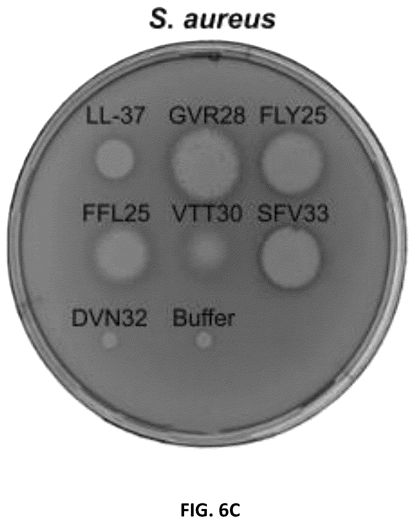 Patent US12134640 Figure 14 – Polypeptides and medical uses thereof