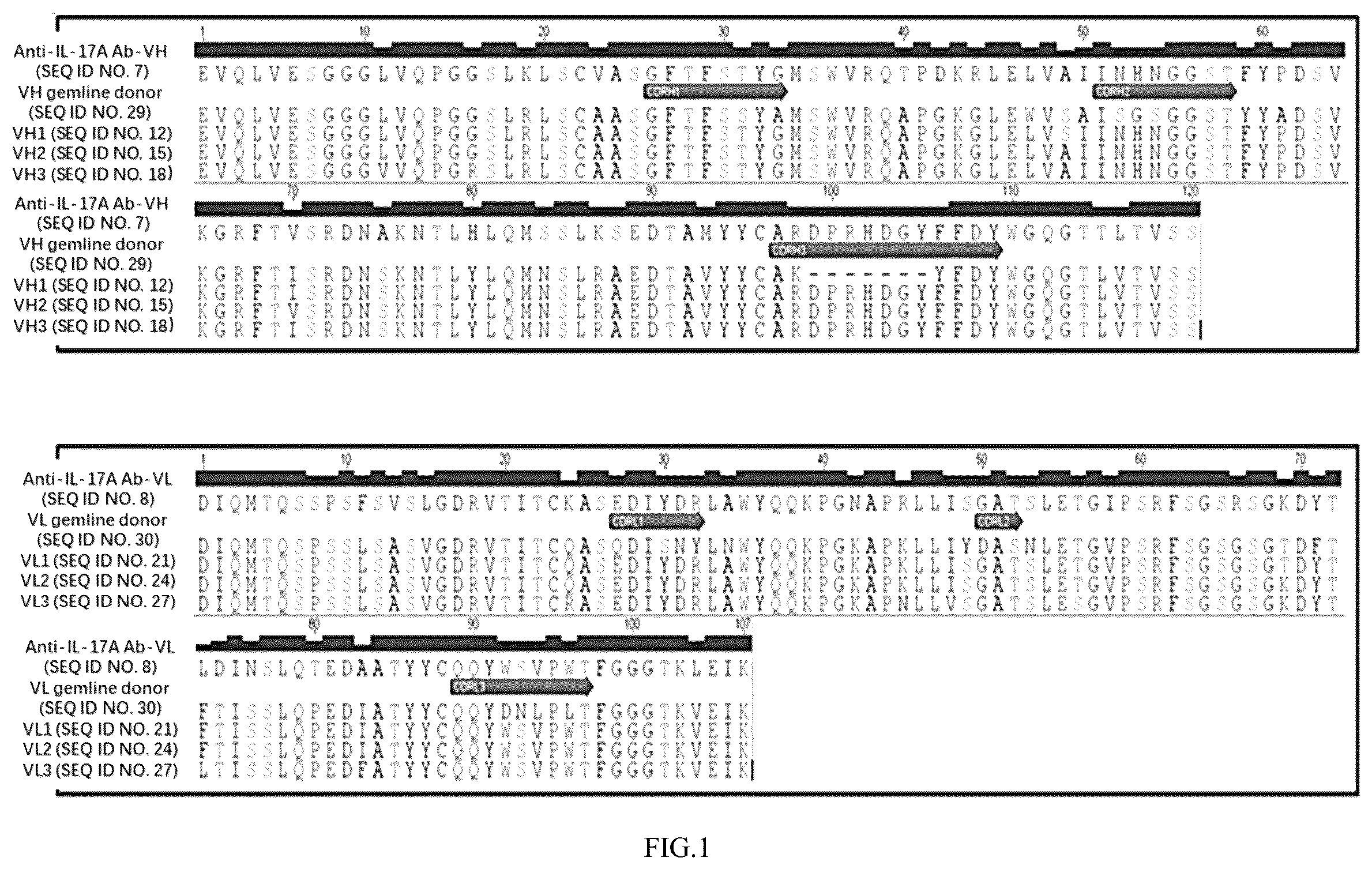 Patent US12134644 Figure 1 – Anti-IL-17A antibodies and use thereof