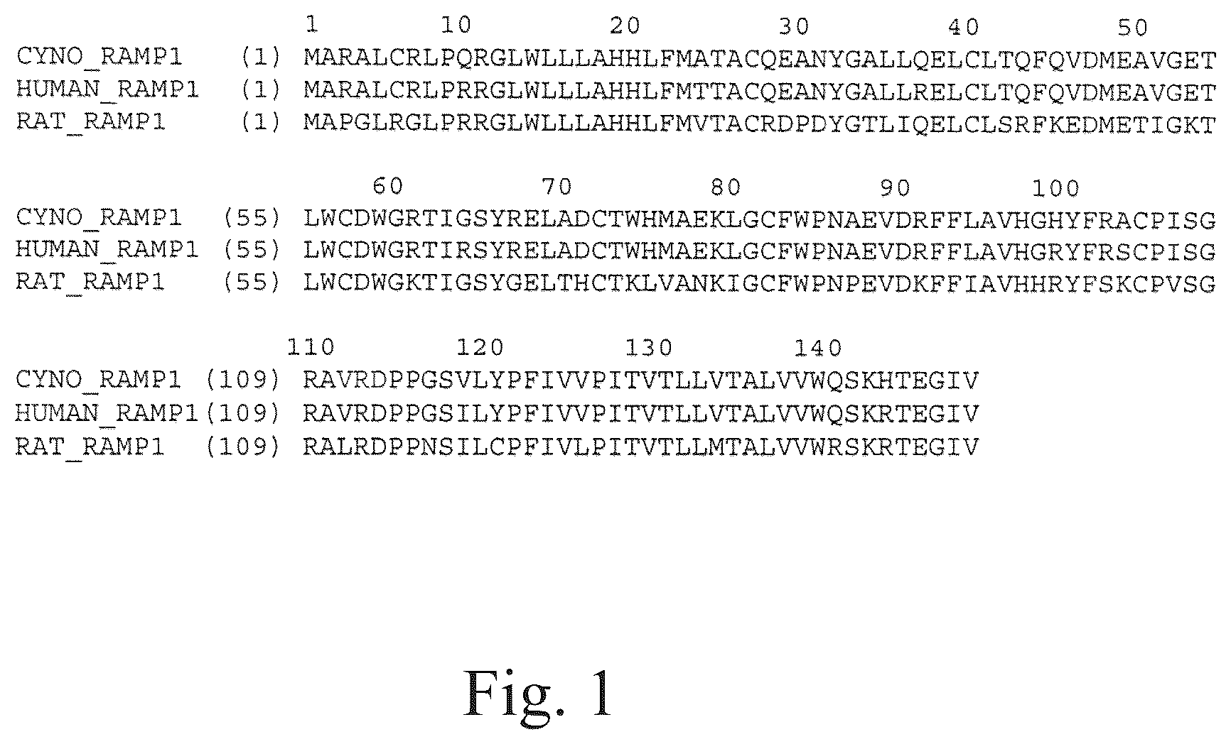 Patent US12134652 Figure 1 – Human CGRP receptor binding proteins