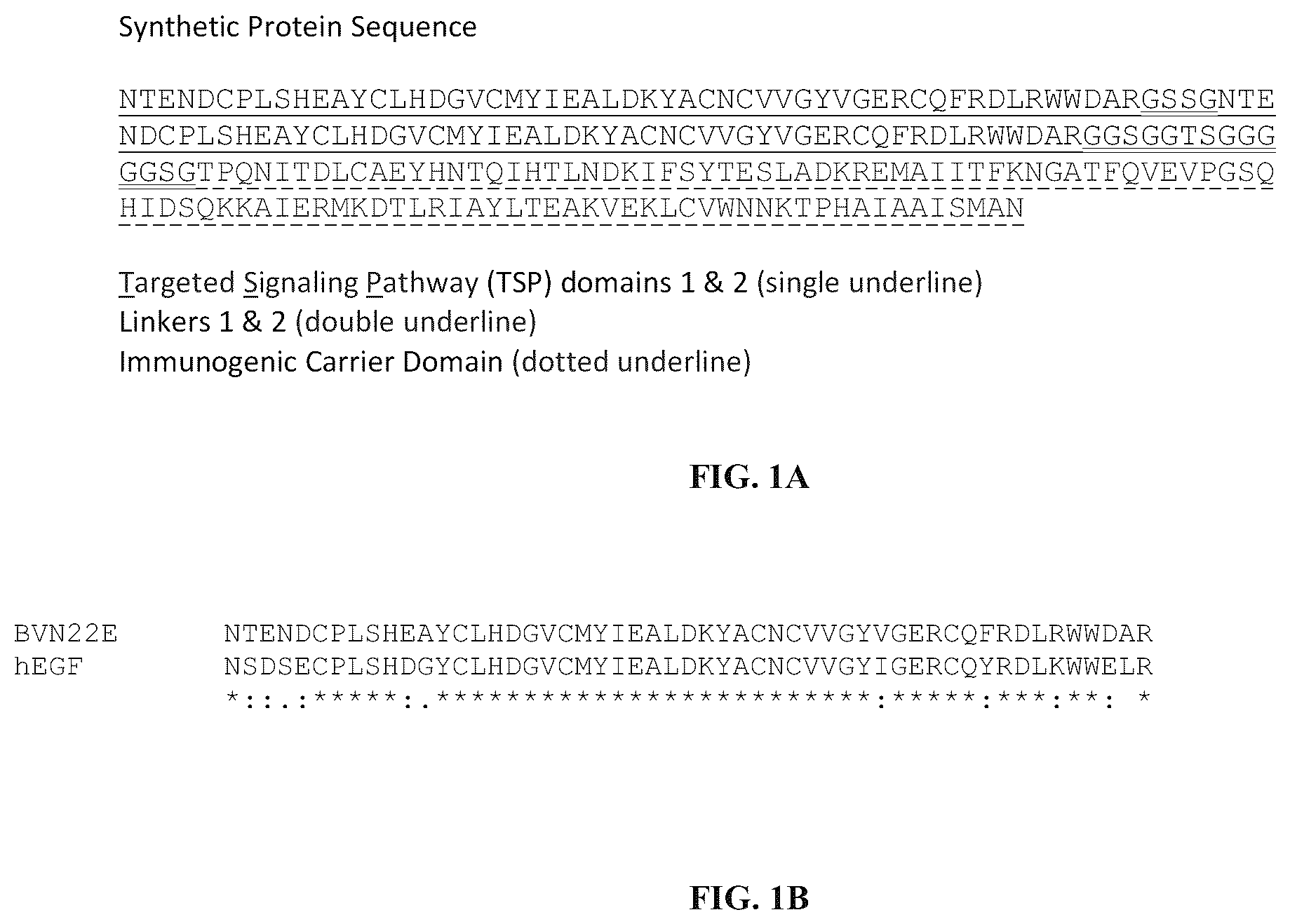 Patent US12134662 — Synthetic proteins and therapeutic uses thereof — Figure 1