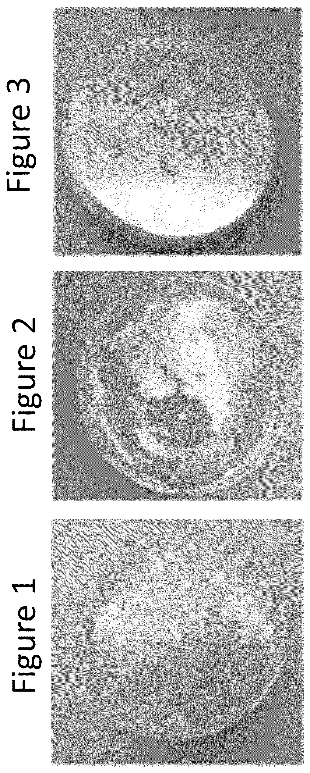 Patent US12134749 — Shaped detergent product composition comprising aminopolycarboxylate — Figure 1
