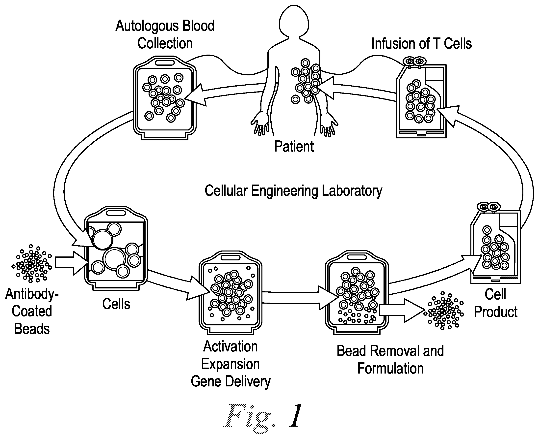 Patent US12134757 — Apparatus — Figure 1