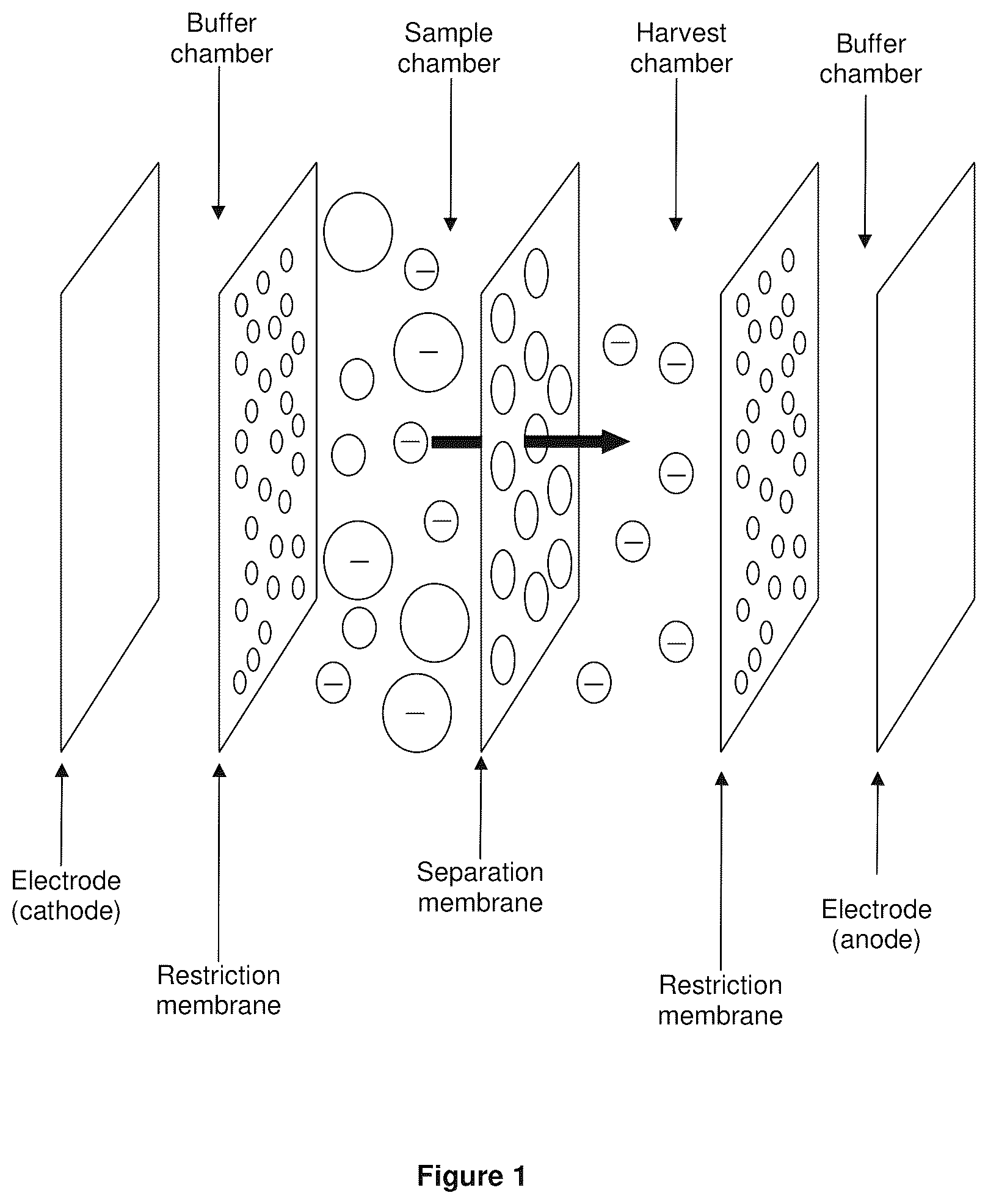 Patent US12134781 — Electrophoresis device — Figure 1