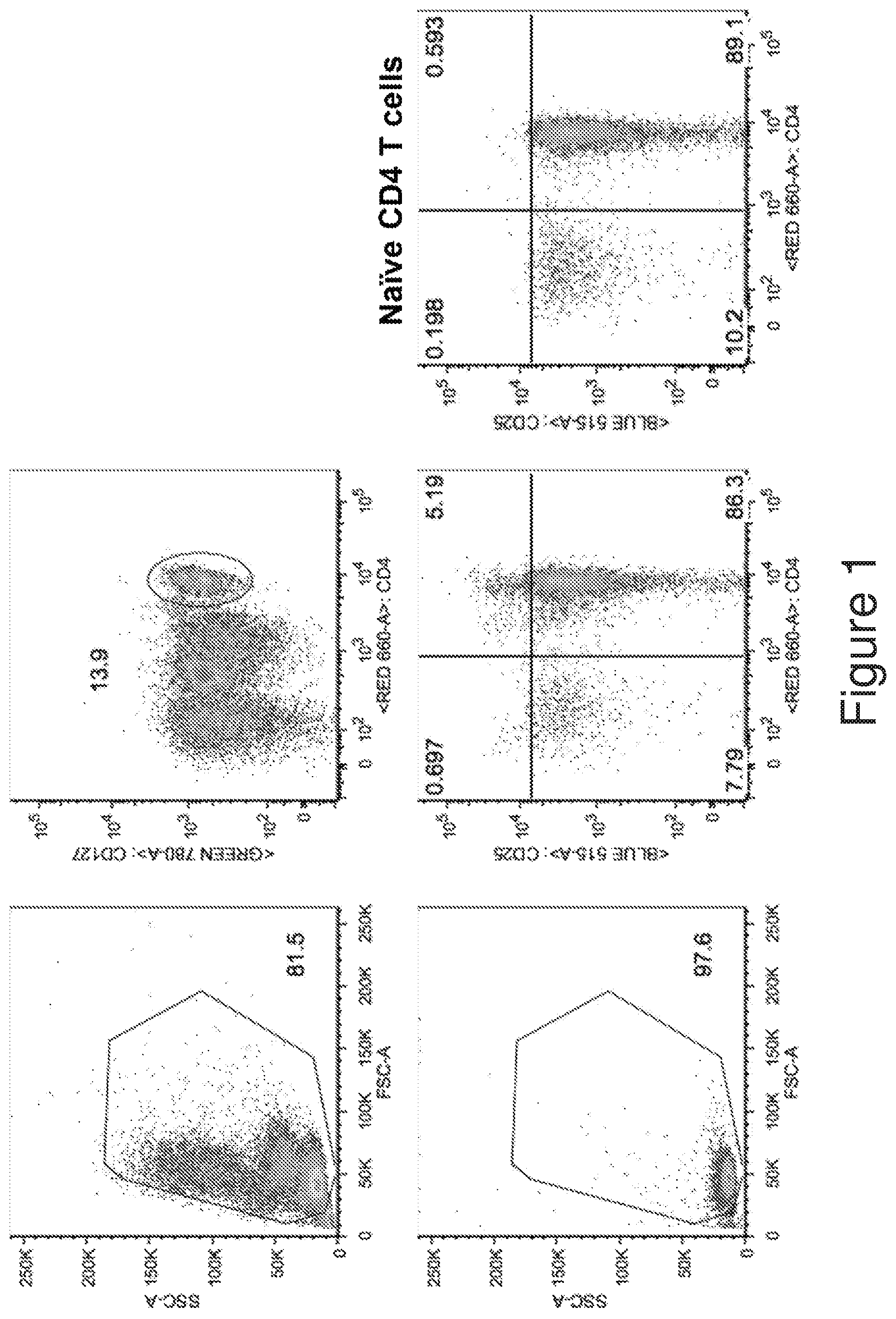 Patent US12134782 — T cells derived from umbilical cord blood — Figure 1