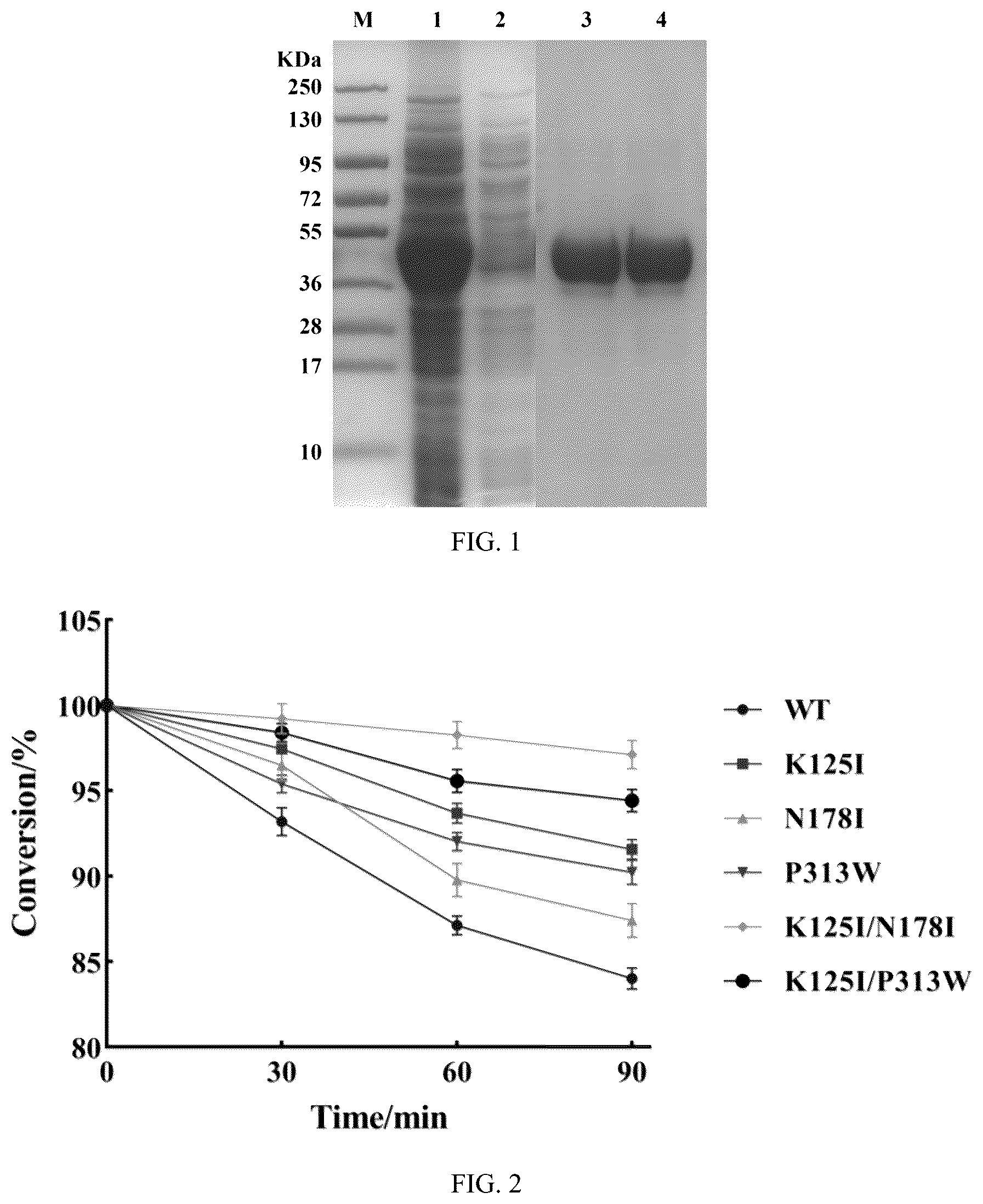 Patent US12134789 — Construction method and applications of glycosyltransferase BS-YjiC mutant — Figure 1
