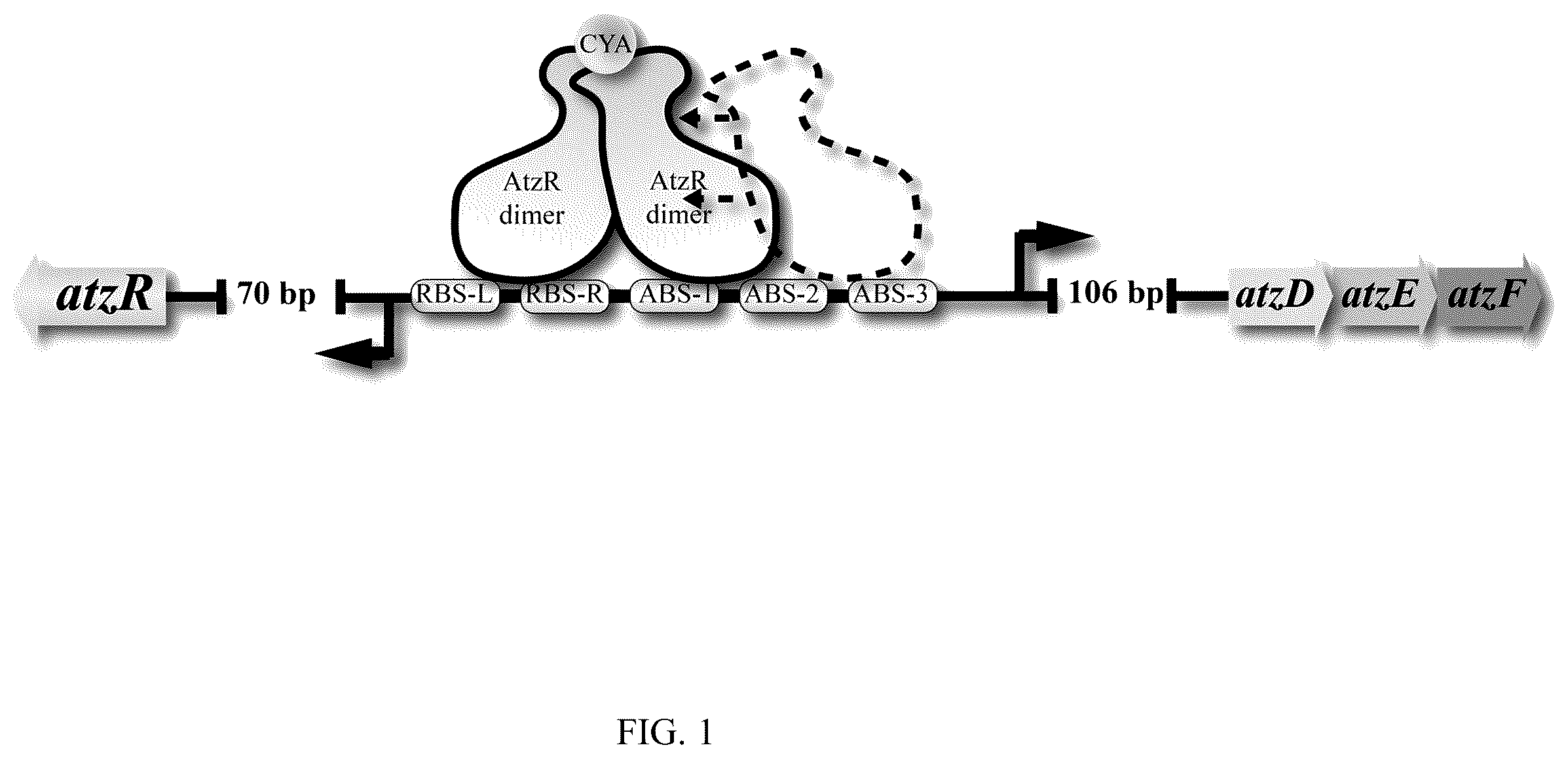 Patent US12134795 — Sensor for cyanuric acid detection — Figure 1
