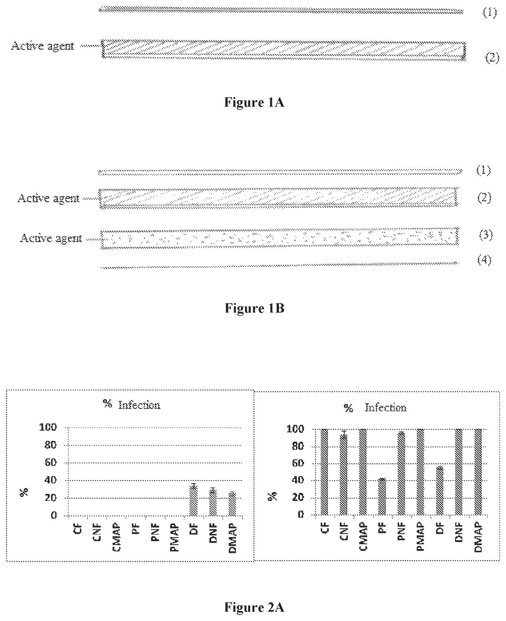 Patent US12137698 — Multilayer structure for active packaging, process and method of using the same — Figure 1