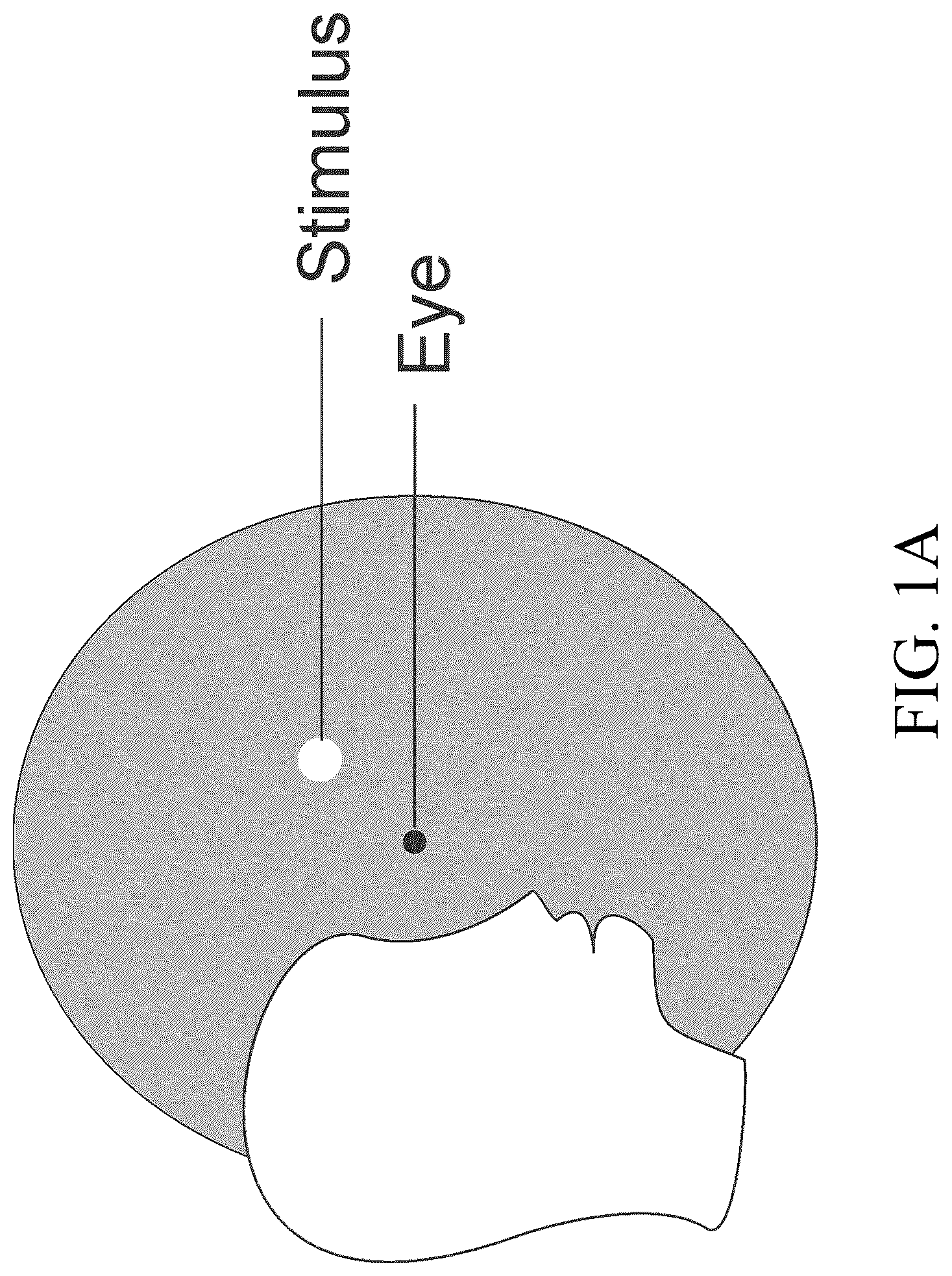 Patent US12137975 — Systems, methods, and program products for performing on-off perimetry visual field tests — Figure 1