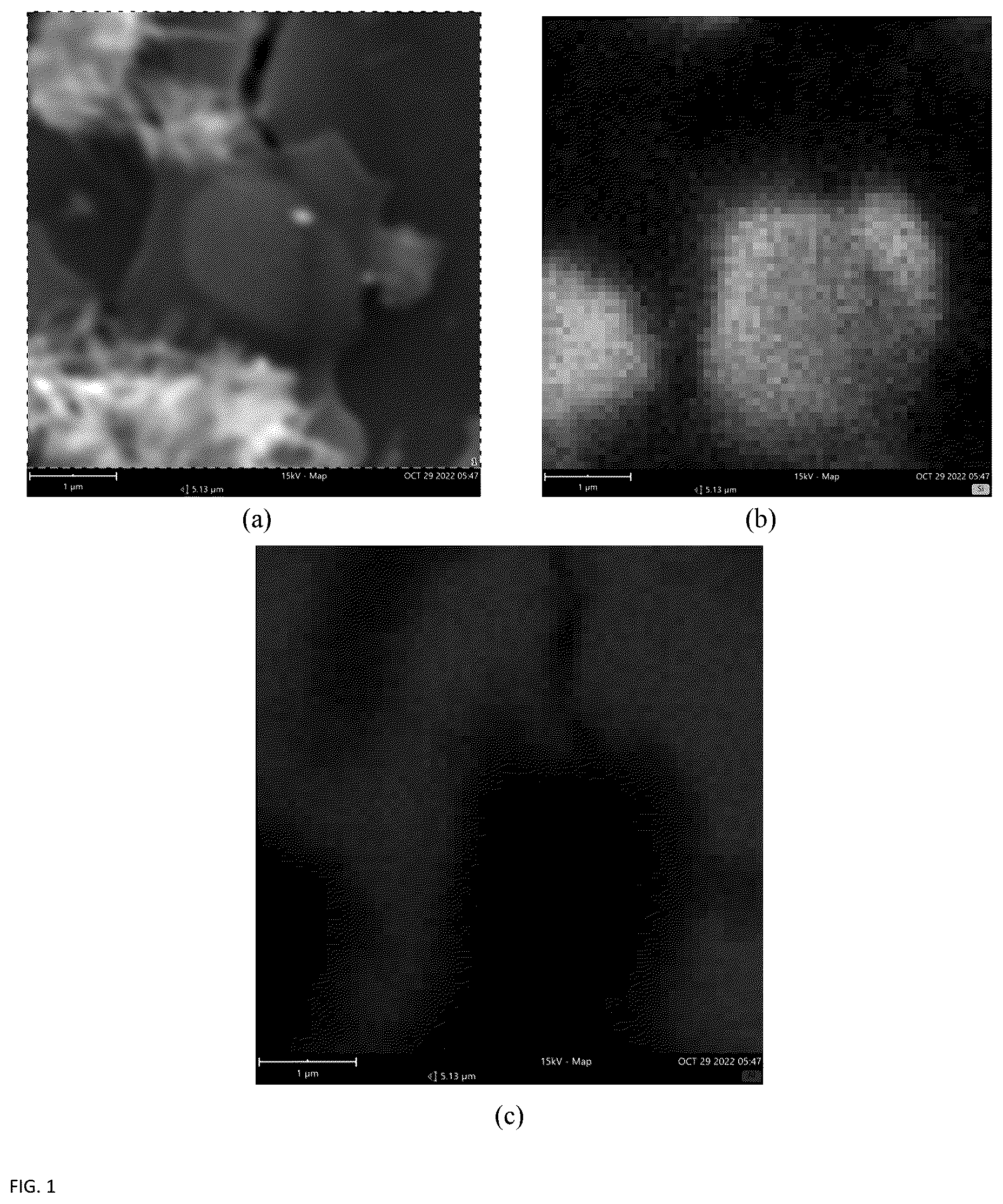Patent US12139440 — Self-healing ceramic material with reduced porosity and method for preparing the same — Figure 1