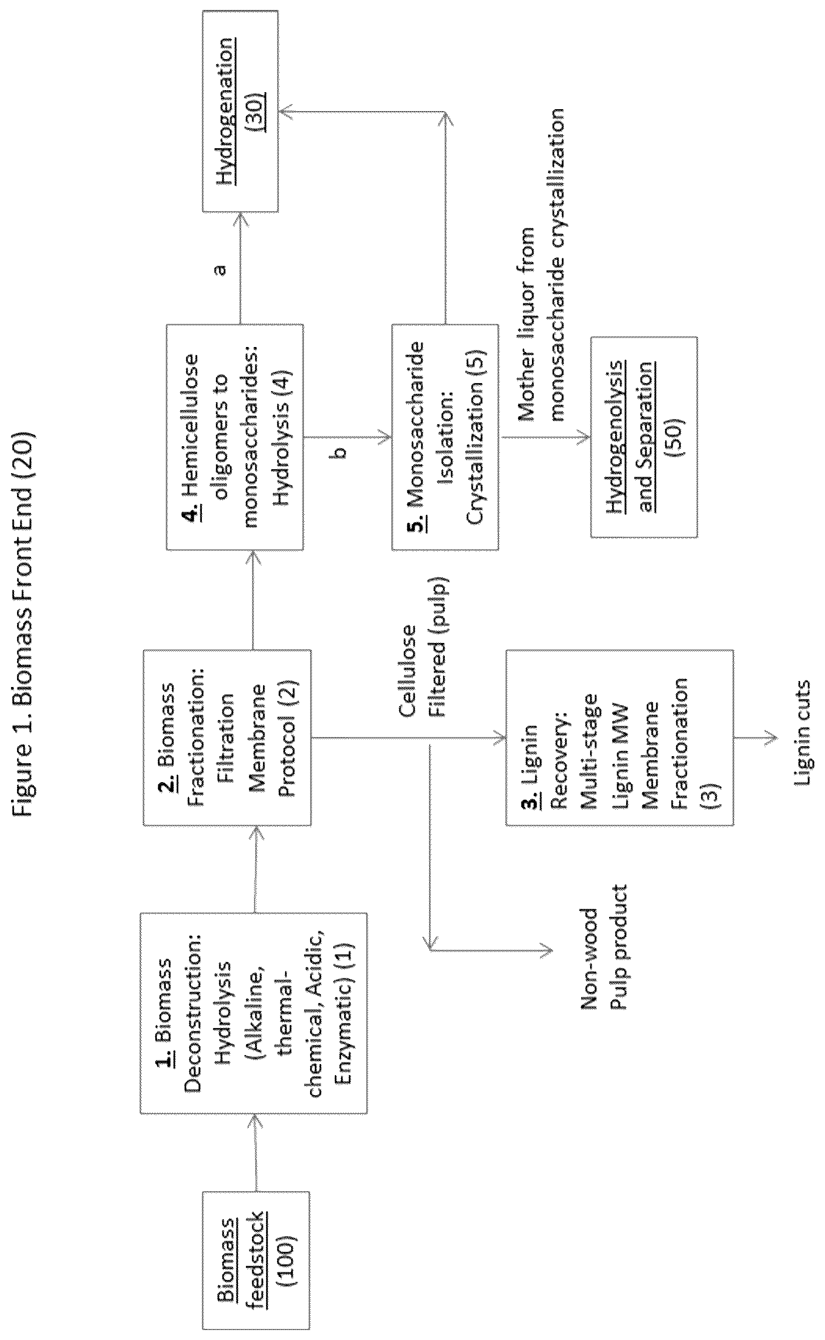 Patent US12139451 — Processes to create multiple value streams from biomass sources — Figure 1