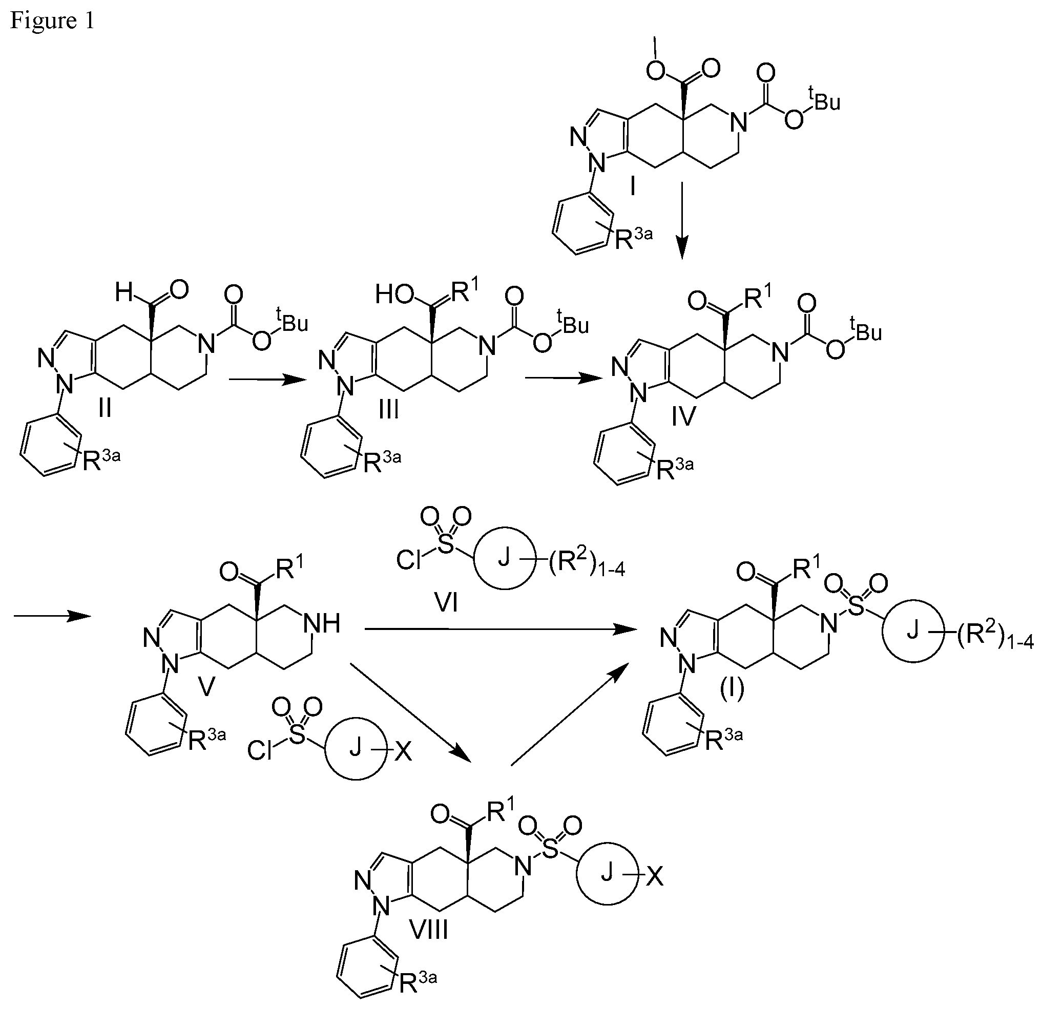 Patent US12139486 — Octahydro fused azadecalin glucocorticoid receptor modulators — Figure 1