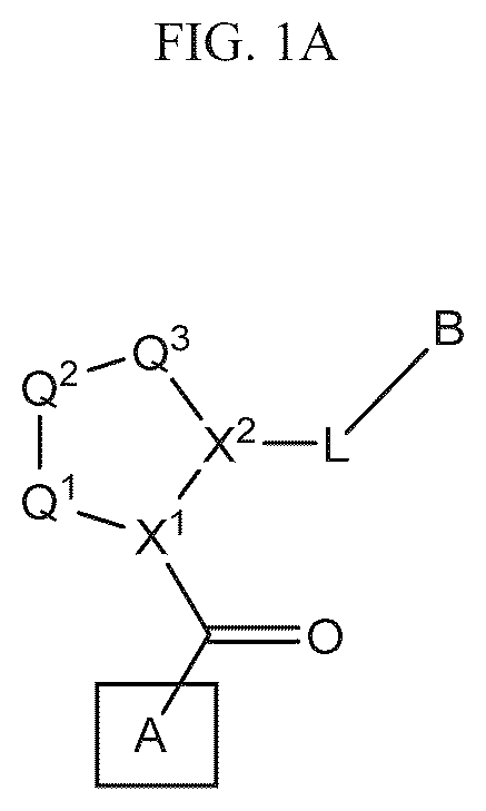 Patent US12139497 — Aryl, heteroaryl, and heterocyclic compounds for treatment of medical disorders — Figure 1
