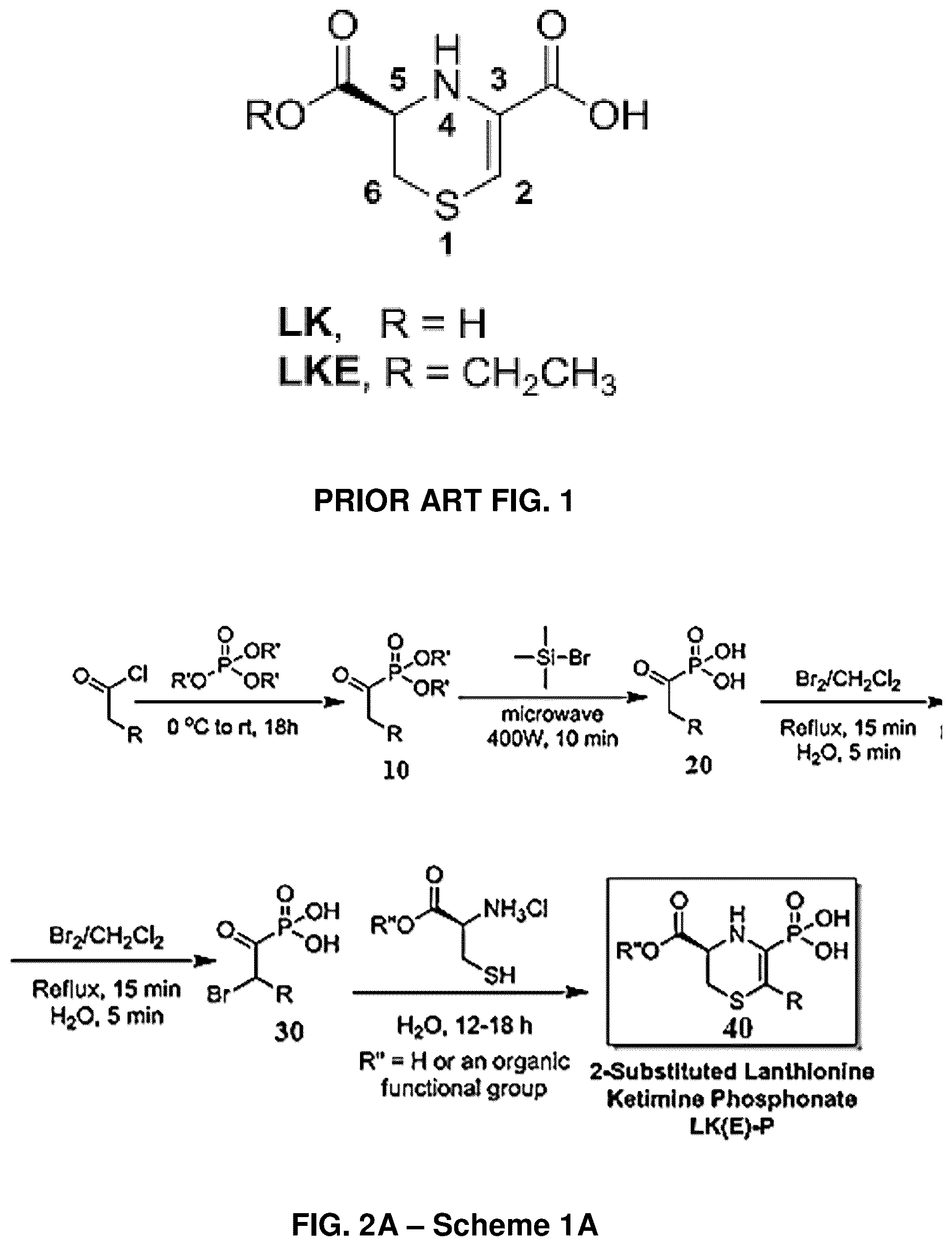 Patent US12139505 — Compositions useful in therapy of autophagy-related pathologies, and methods of making and using the same — Figure 1