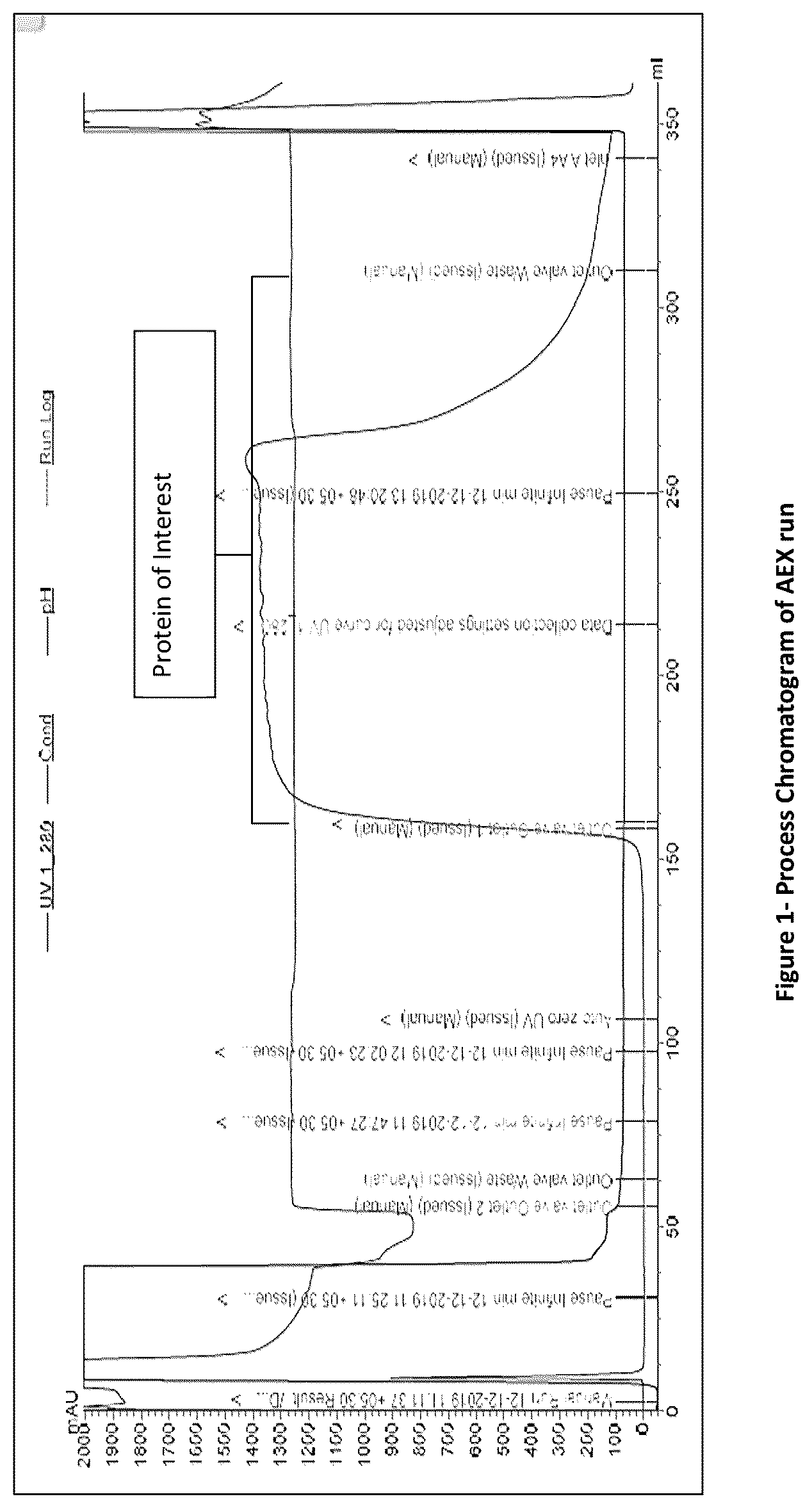 Patent US12139510 — Process of purification of protein — Figure 1