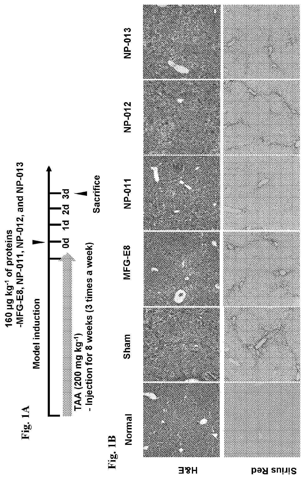 Patent US12139518 — Compositions and methods for treating or preventing fibrosis — Figure 1