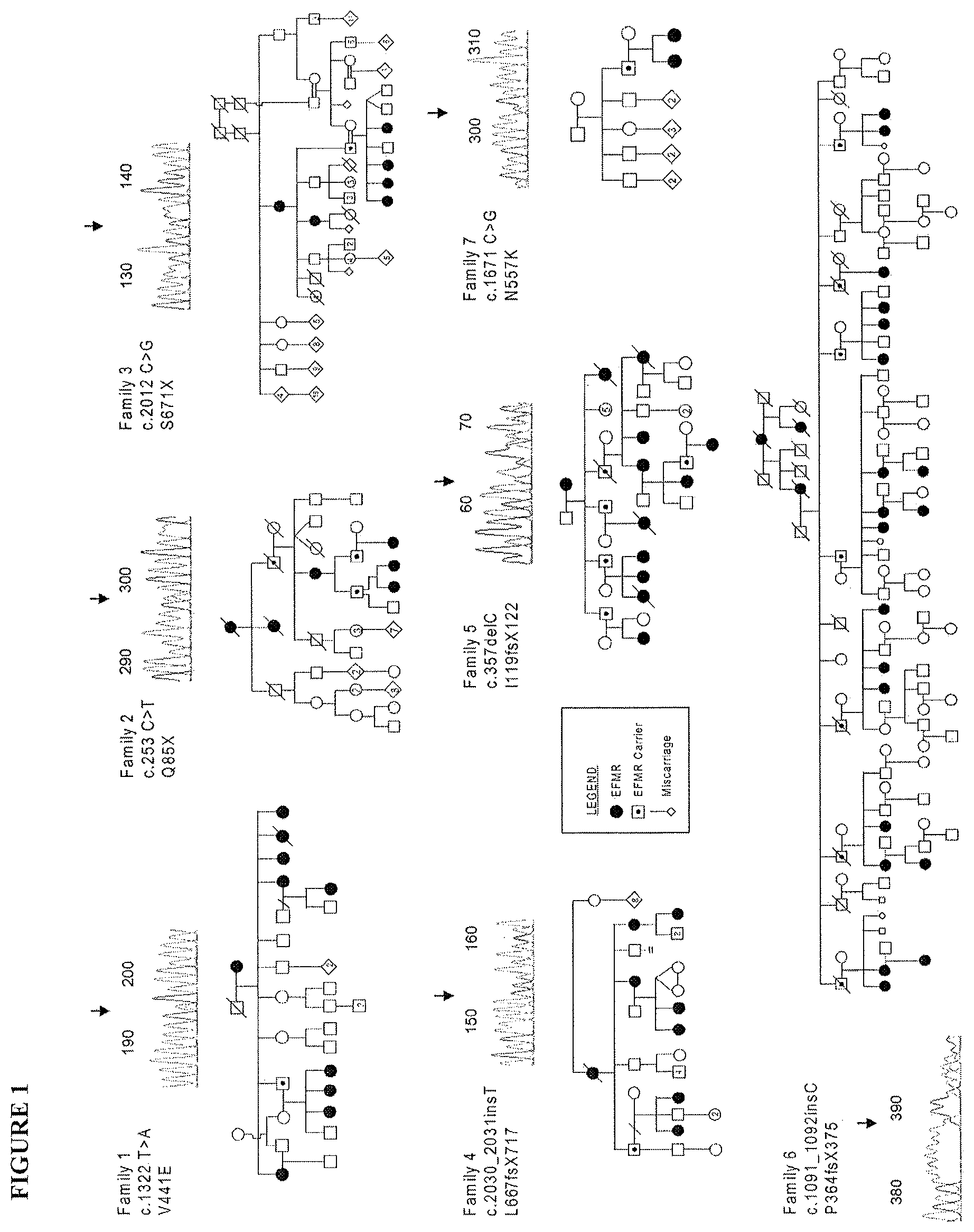 Patent US12139521 Figure 1 – Diagnostic and therapeutic methods for EFMR (epilepsy and mental retardation limited to females)