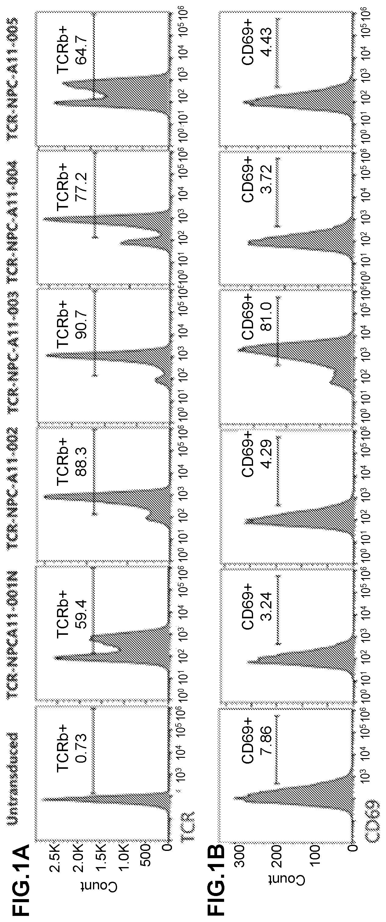 Patent US12139523 — Anti-LMP2 TCR-T cell therapy for the treatment of EBV-associated cancers — Figure 1