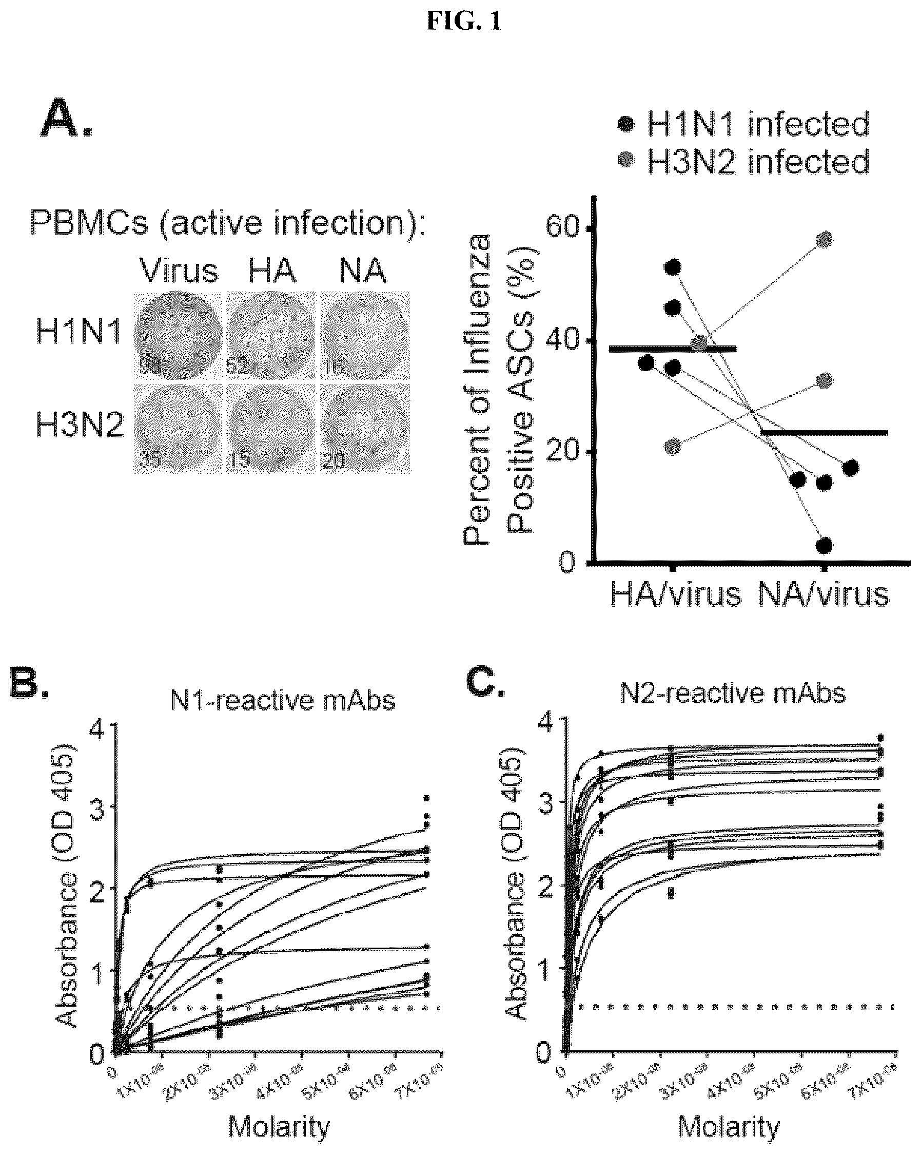 Patent US12139527 Figure 1 – Methods and composition for neutralization of influenza